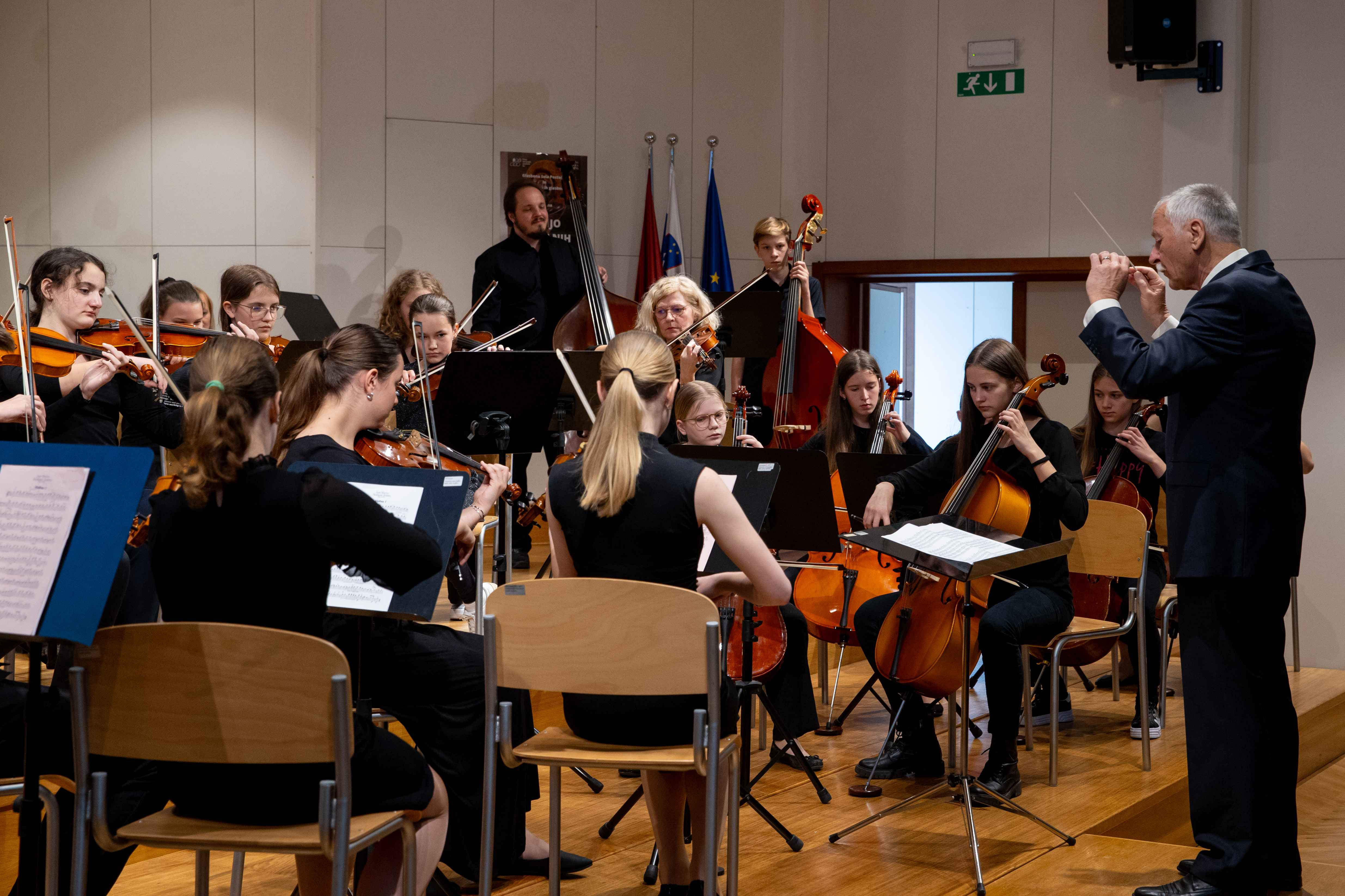 15. Revija godalnih orkestrov Zveze slovenskih glasbenih šol