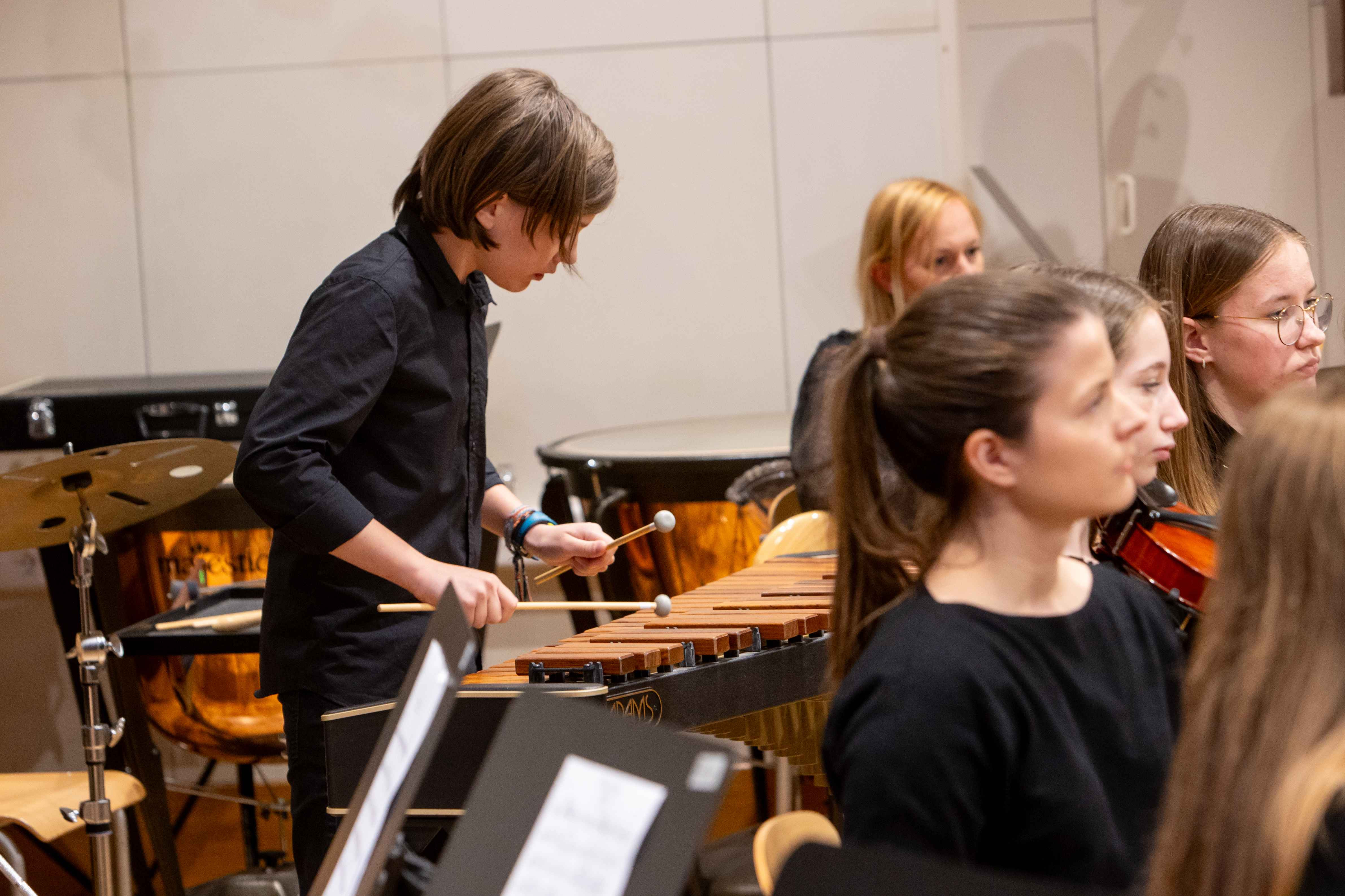 15. Revija godalnih orkestrov Zveze slovenskih glasbenih šol