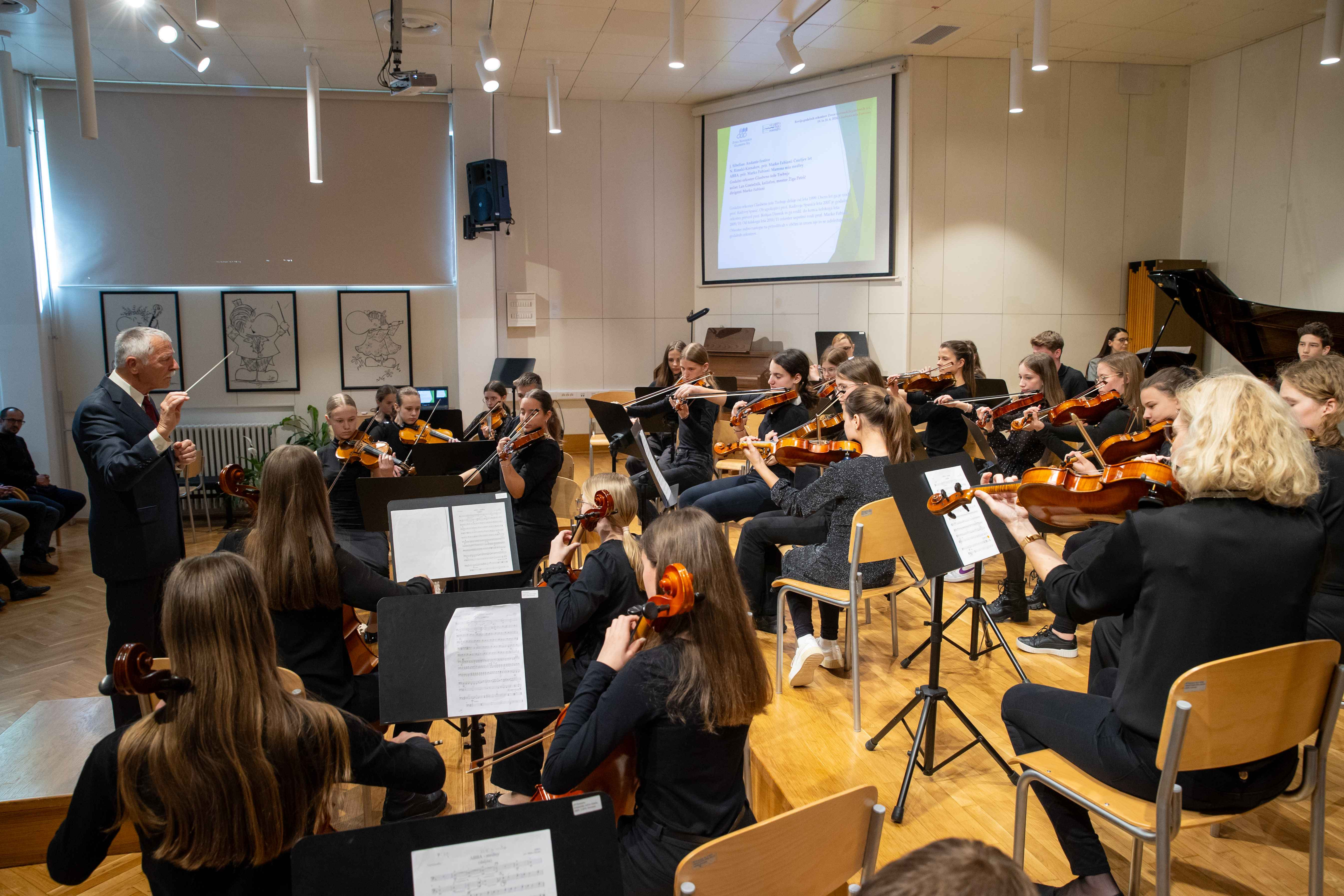 15. Revija godalnih orkestrov Zveze slovenskih glasbenih šol