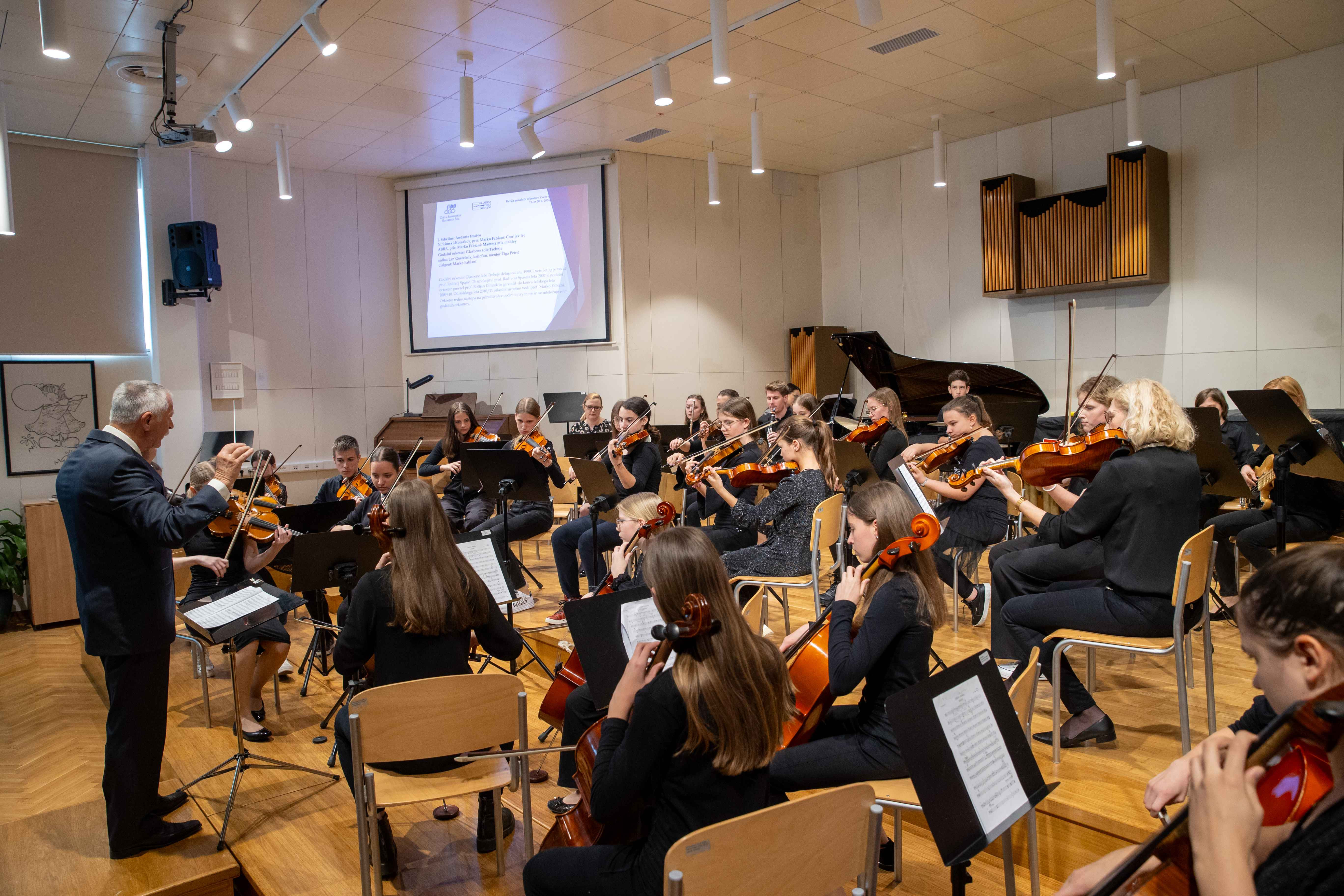 15. Revija godalnih orkestrov Zveze slovenskih glasbenih šol