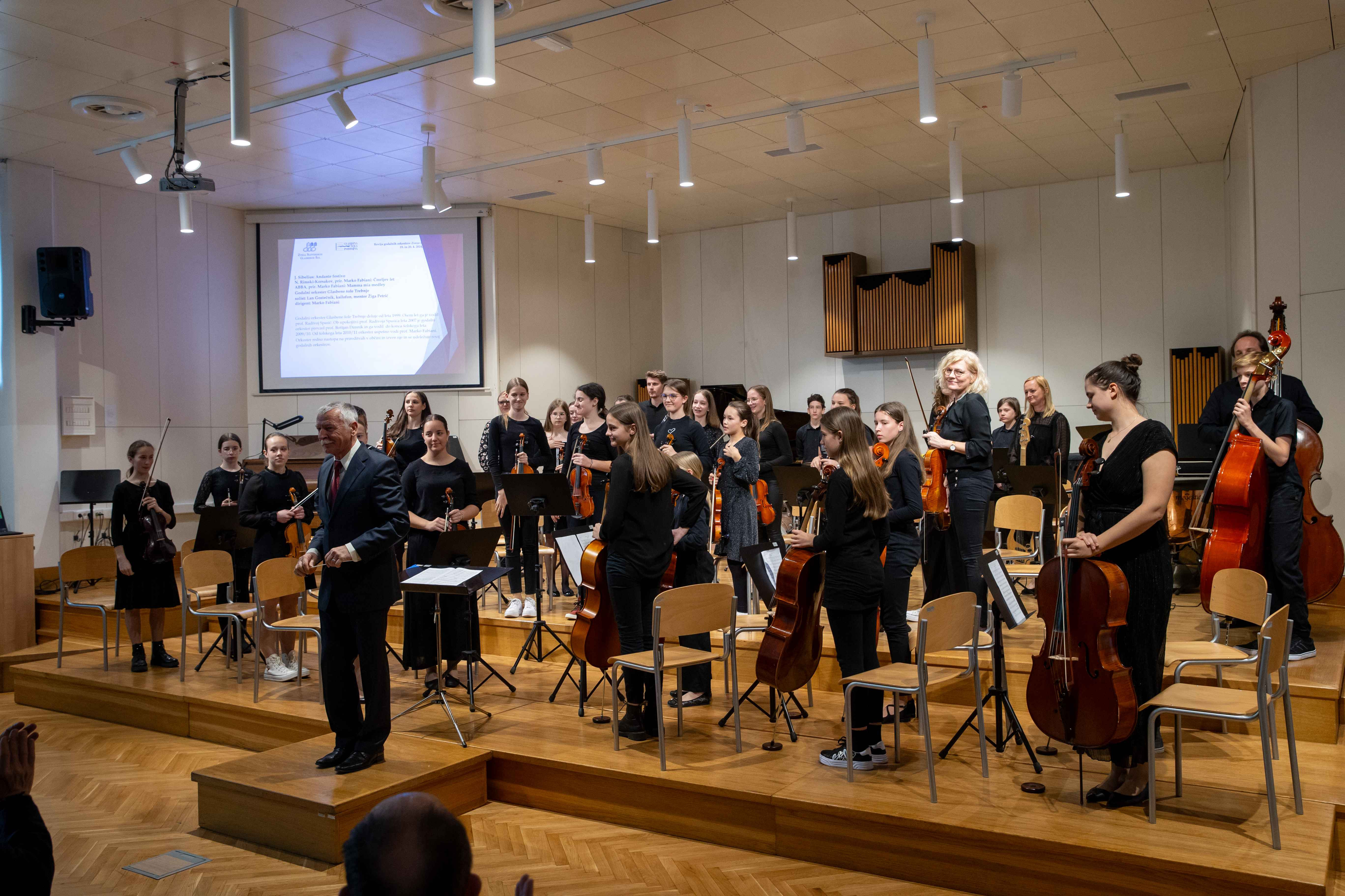 15. Revija godalnih orkestrov Zveze slovenskih glasbenih šol