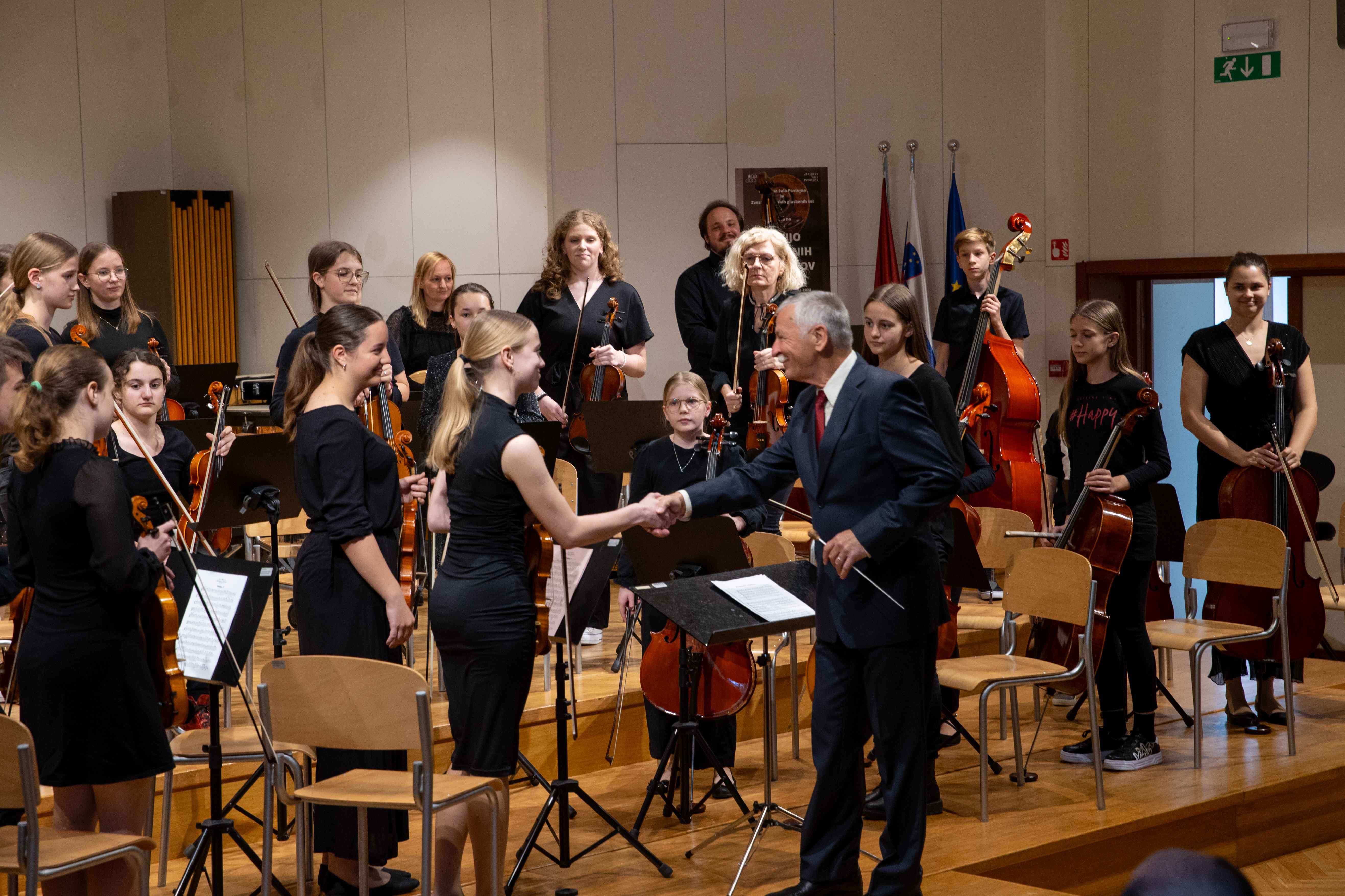 15. Revija godalnih orkestrov Zveze slovenskih glasbenih šol