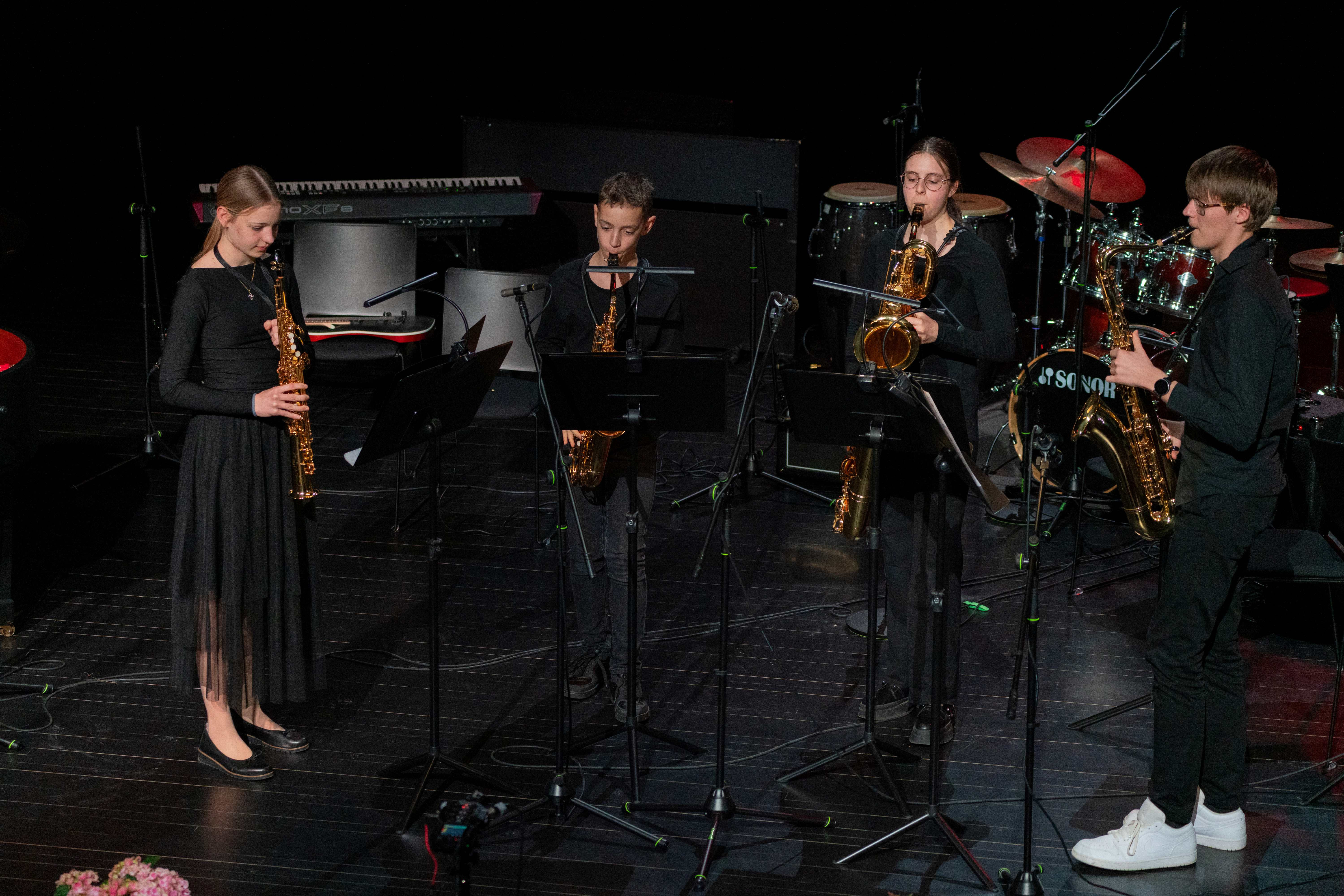 9. revija glasbenih šol Dolenjske, Bele krajine in Posavja 2026