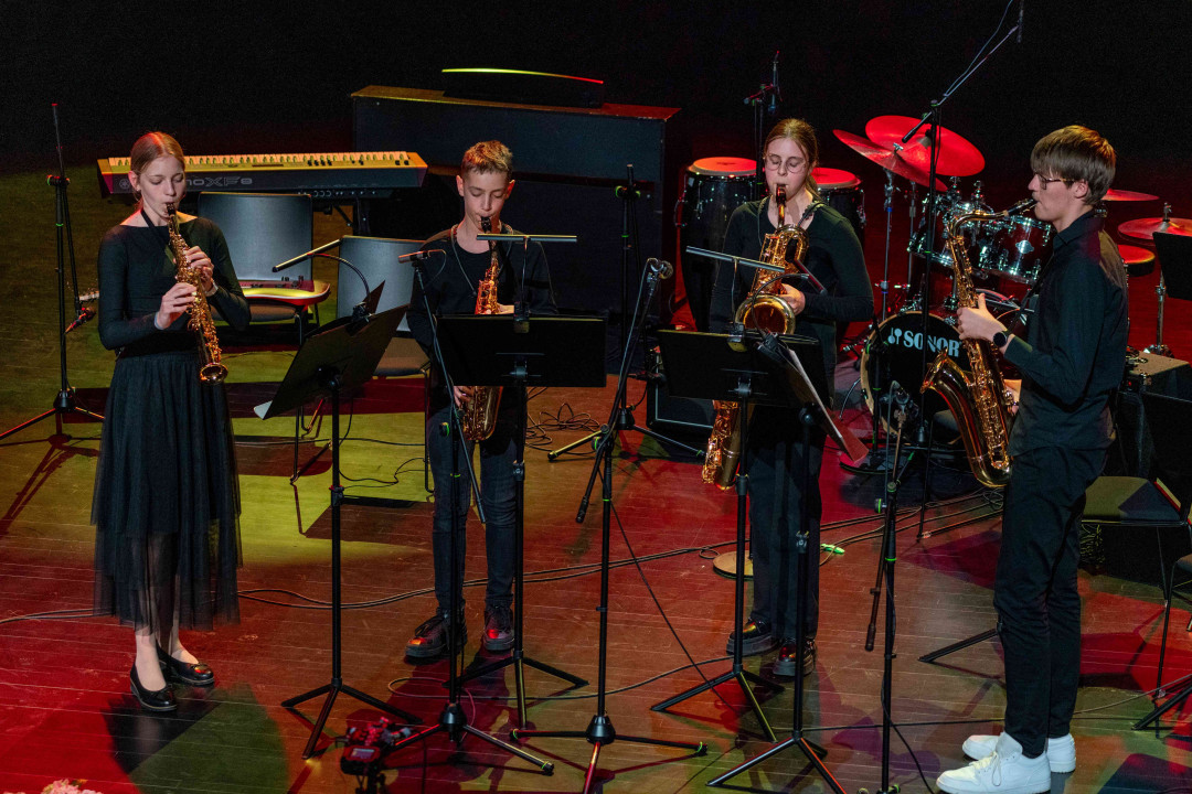 9. revija glasbenih šol Dolenjske, Bele krajine in Posavja 2026