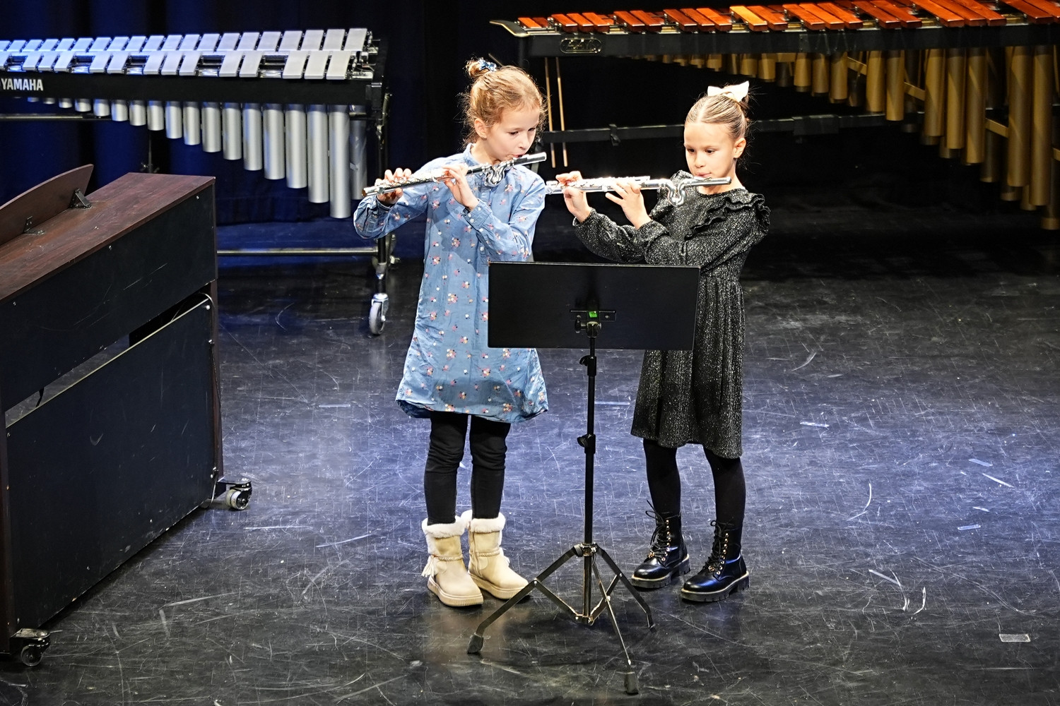 Decembrski koncert na Mirni