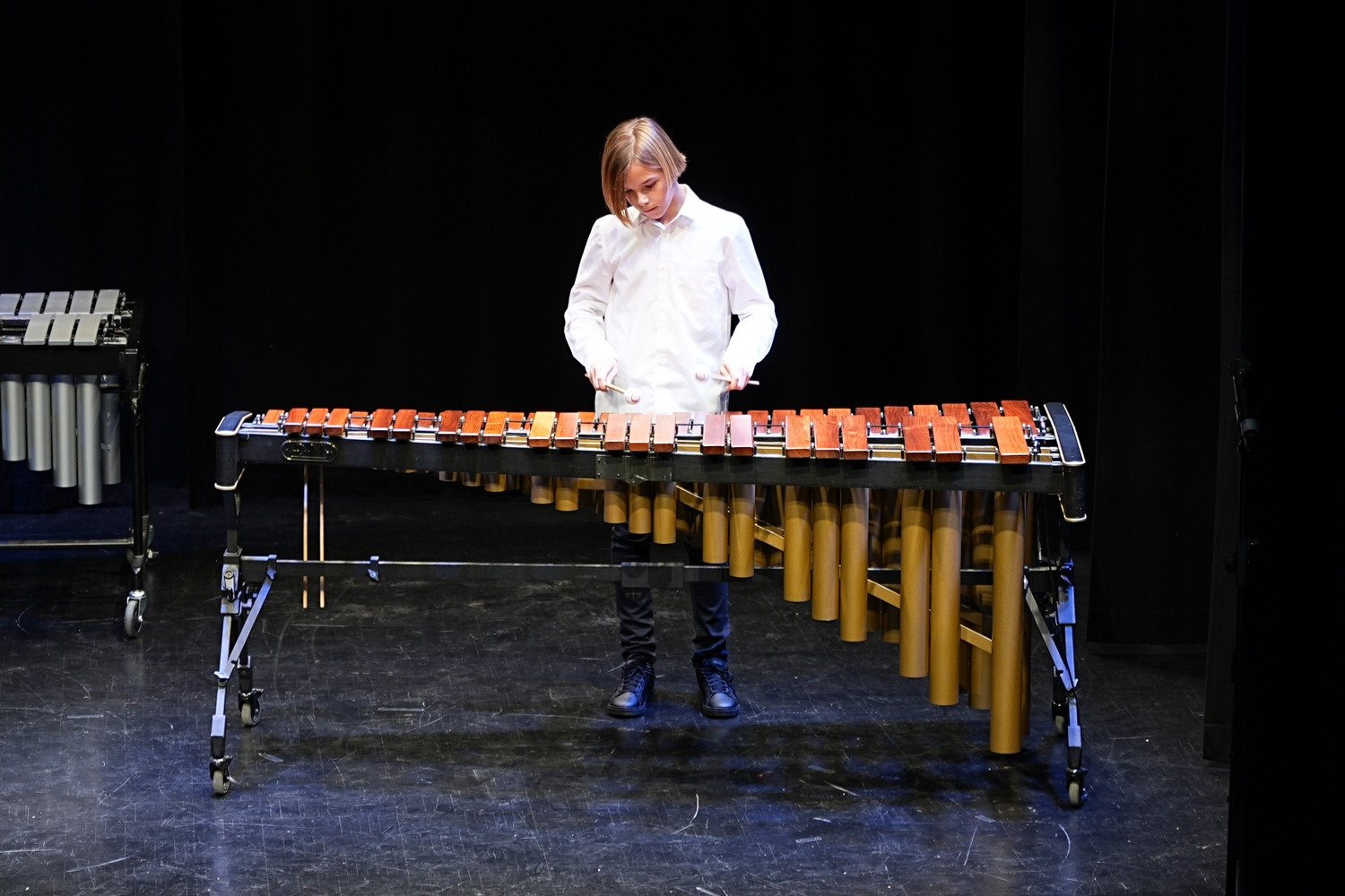 Decembrski koncert na Mirni