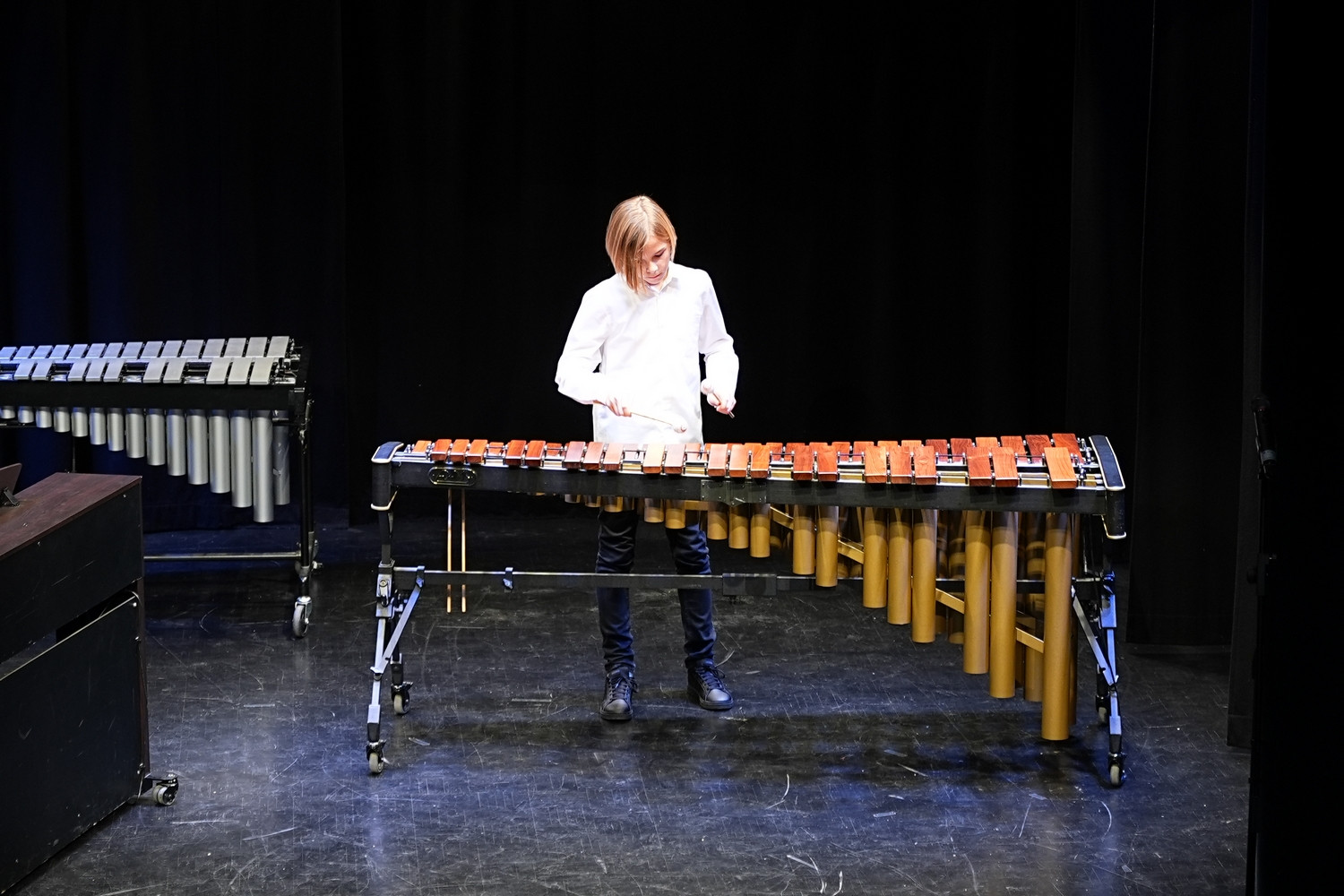 Decembrski koncert na Mirni