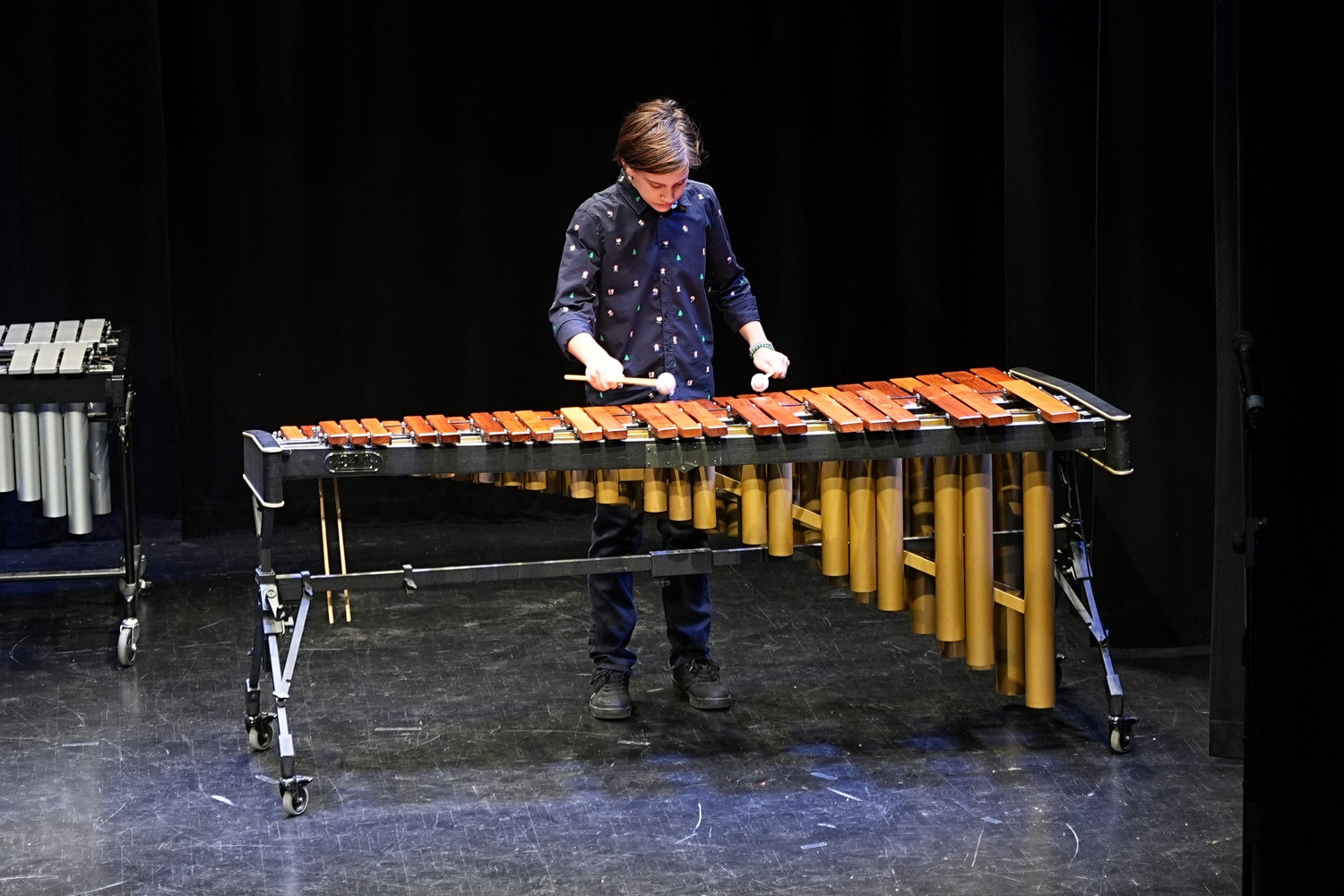 Decembrski koncert na Mirni