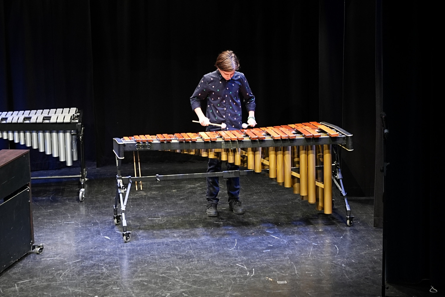 Decembrski koncert na Mirni