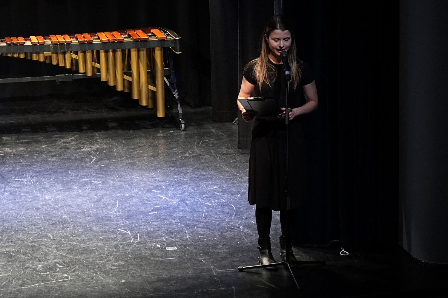 Decembrski koncert na Mirni