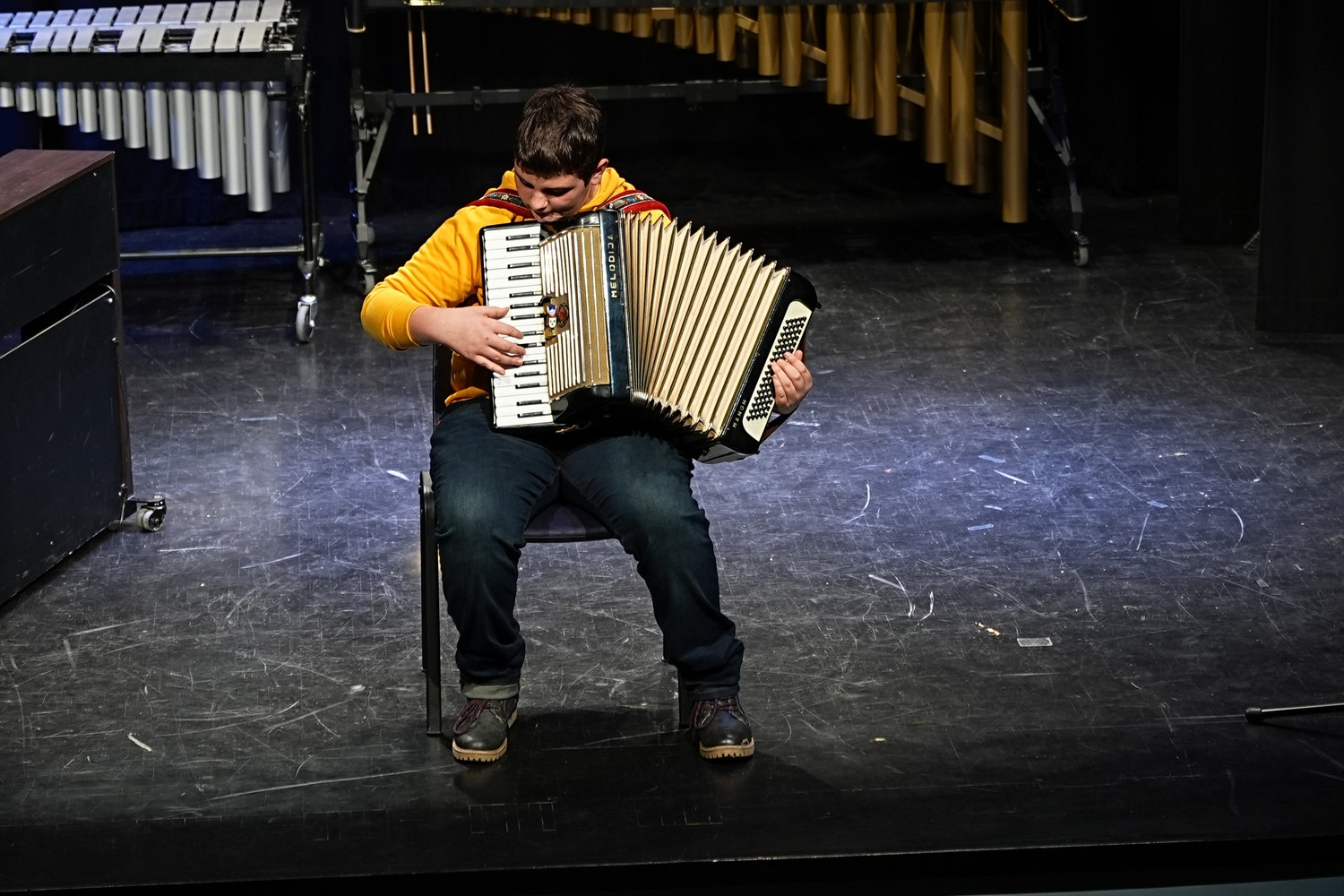 Decembrski koncert na Mirni