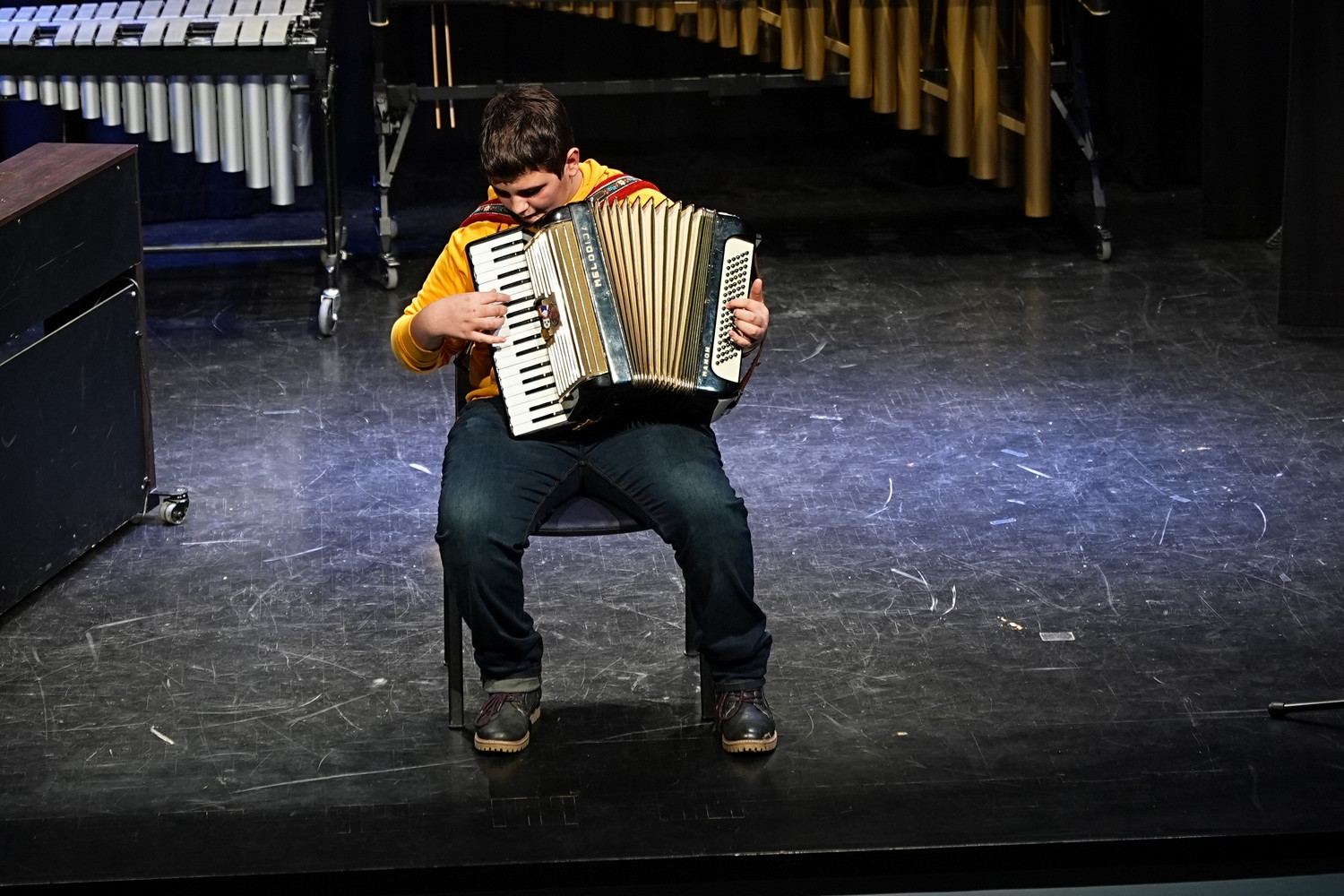 Decembrski koncert na Mirni