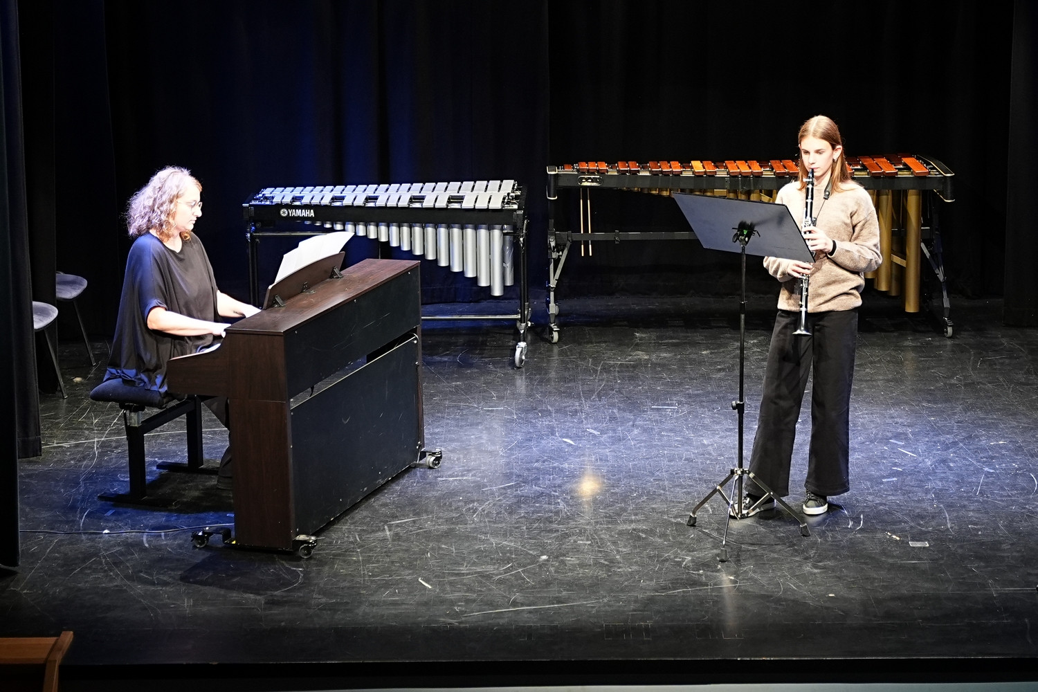 Decembrski koncert na Mirni