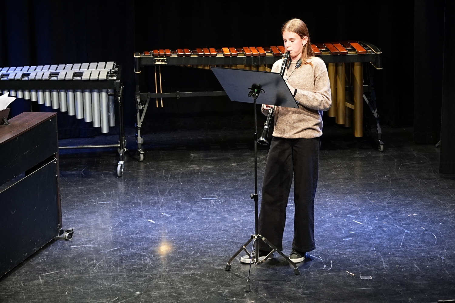 Decembrski koncert na Mirni