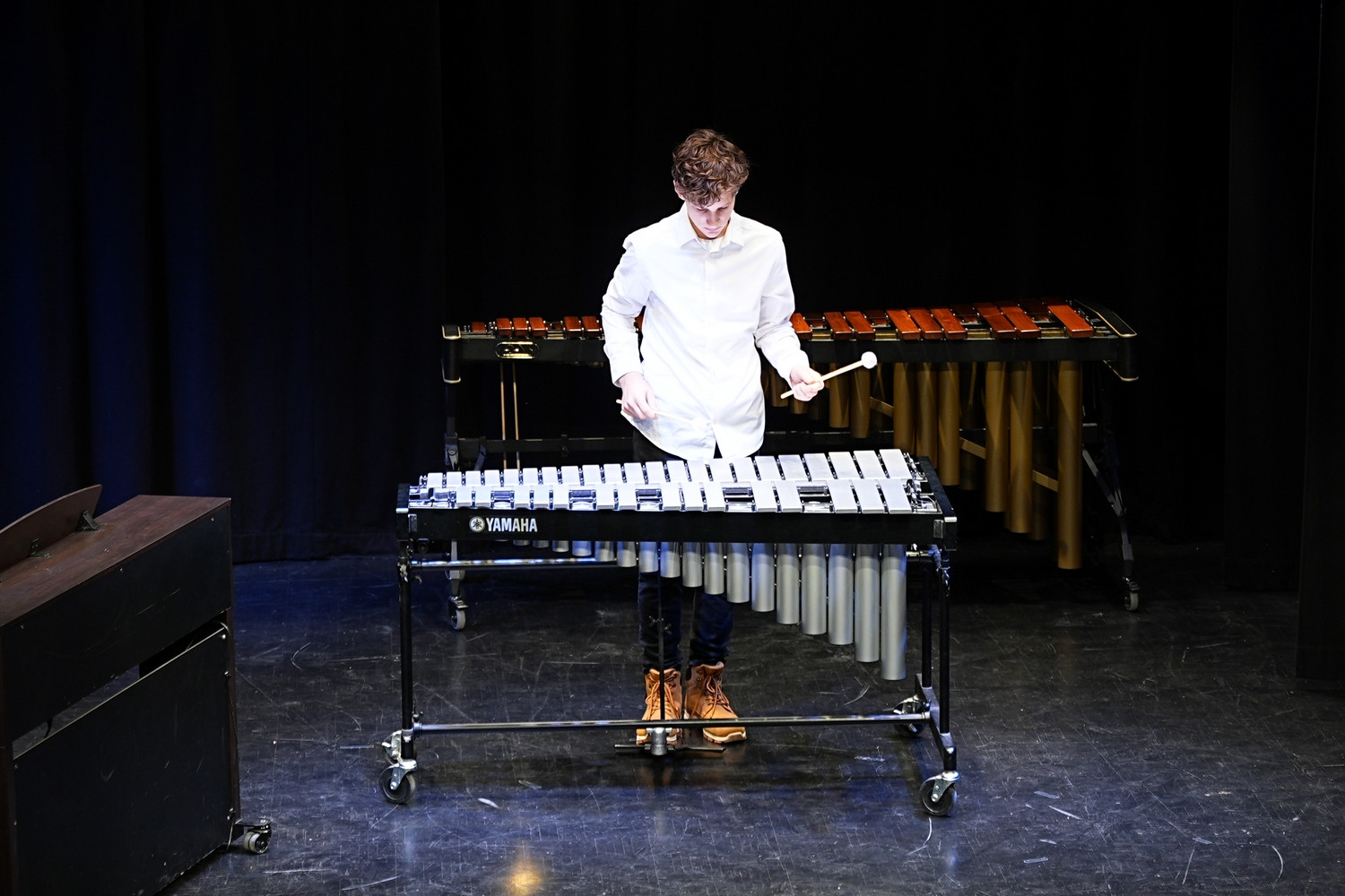 Decembrski koncert na Mirni