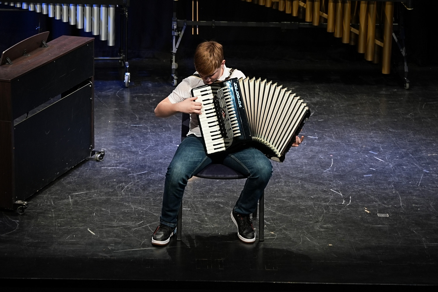 Decembrski koncert na Mirni