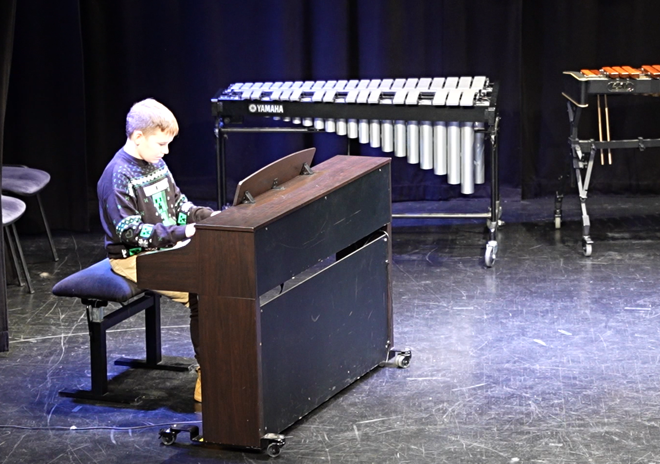 Decembrski koncert na Mirni