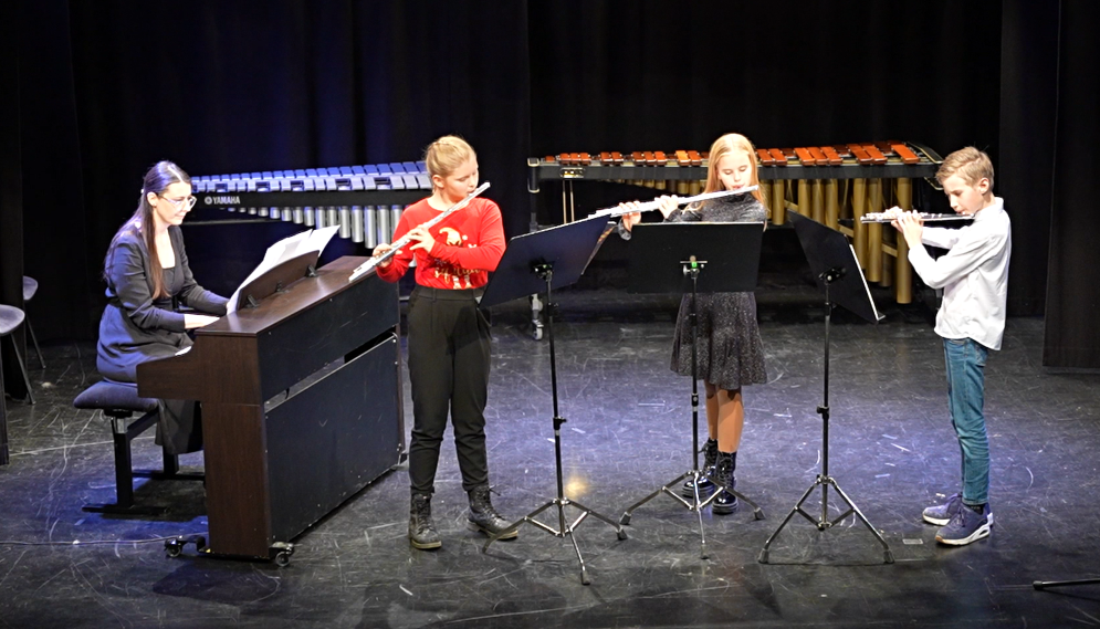 Decembrski koncert na Mirni