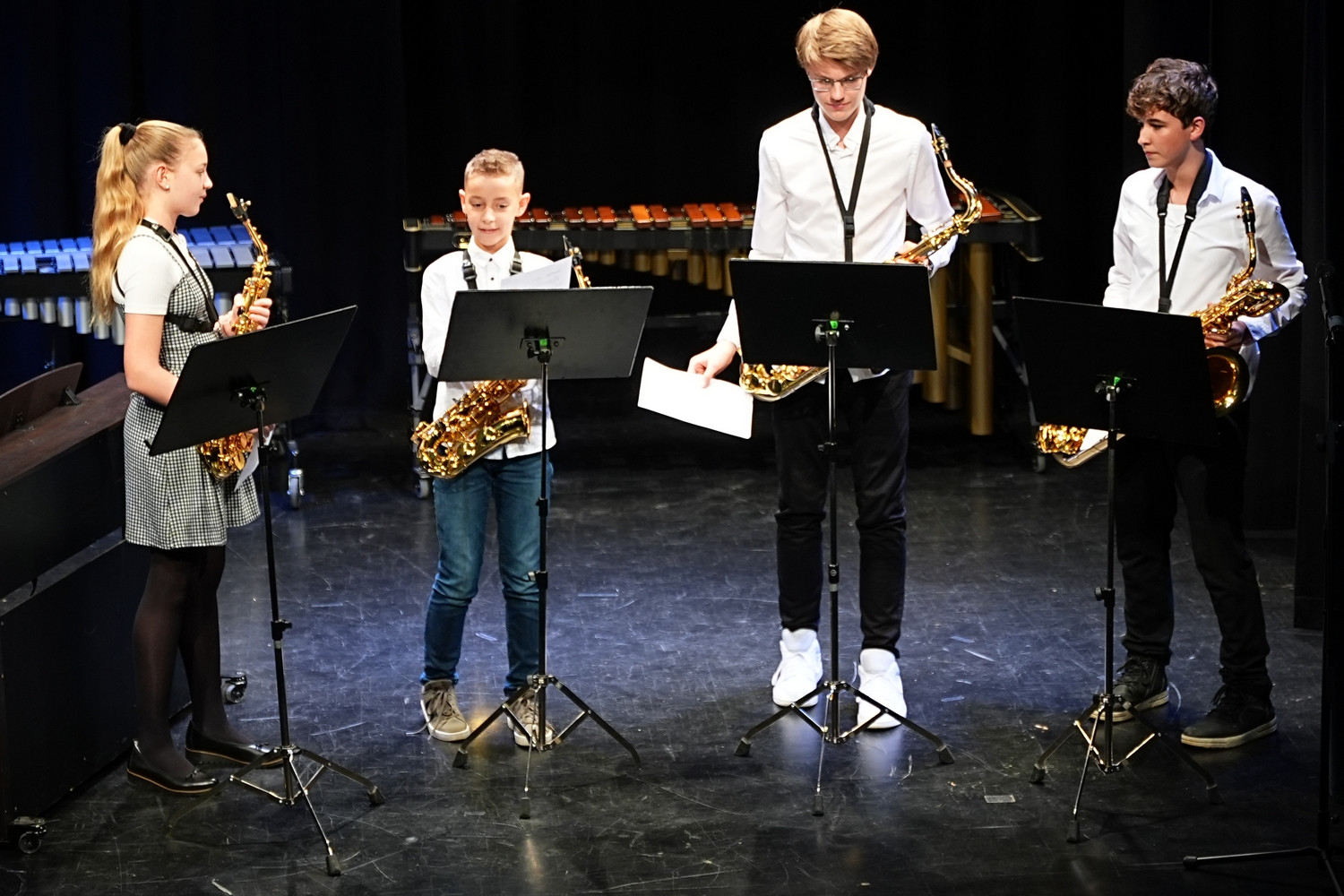 Decembrski koncert na Mirni