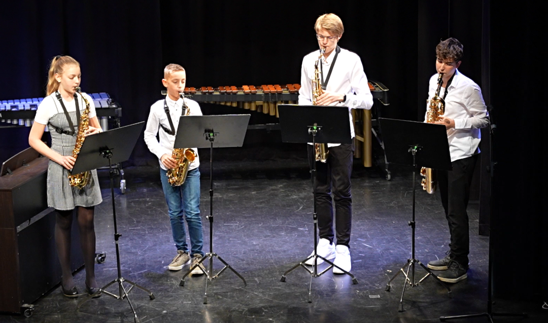 Decembrski koncert na Mirni