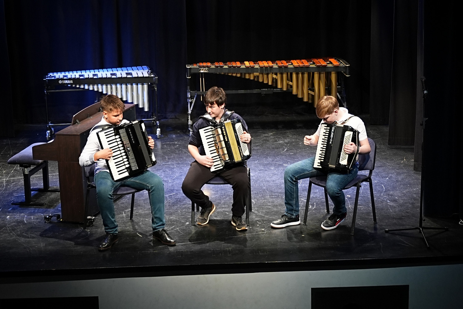 Decembrski koncert na Mirni