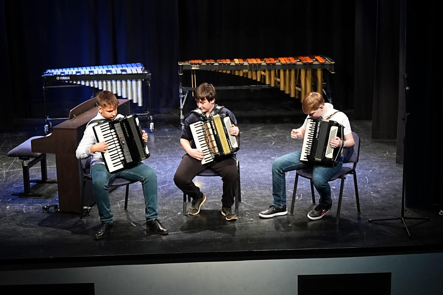 Decembrski koncert na Mirni