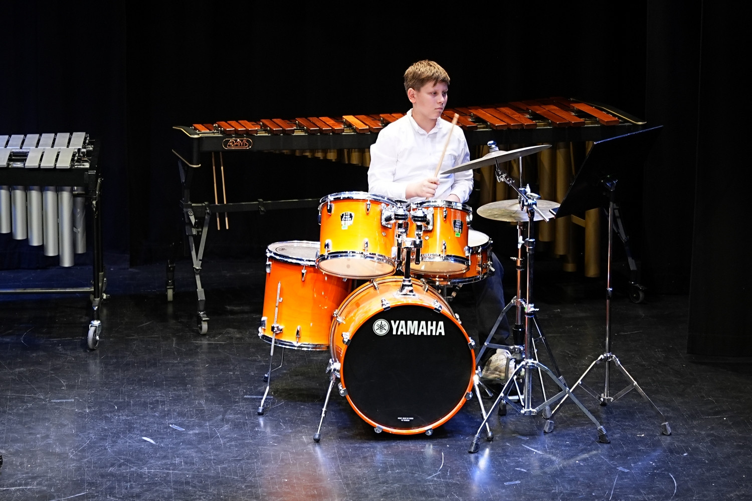 Decembrski koncert na Mirni