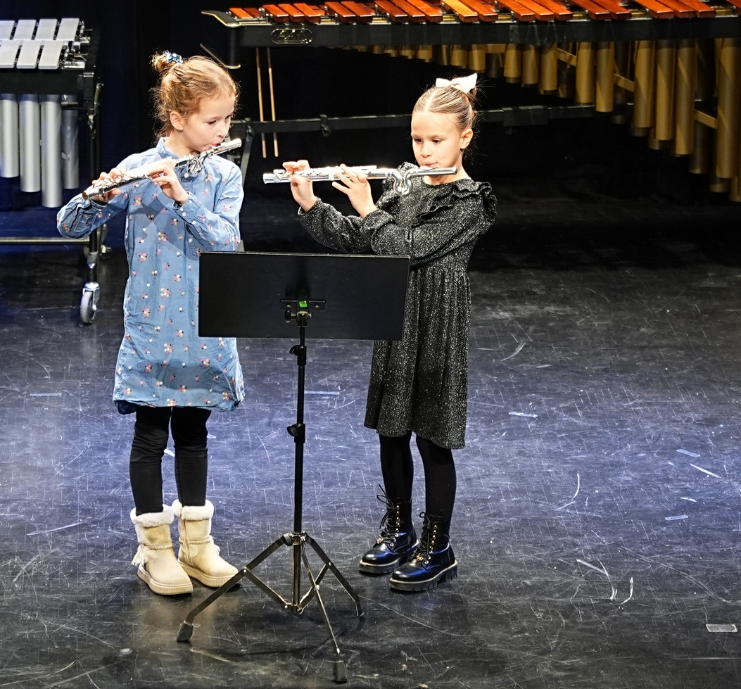 Decembrski koncert na Mirni