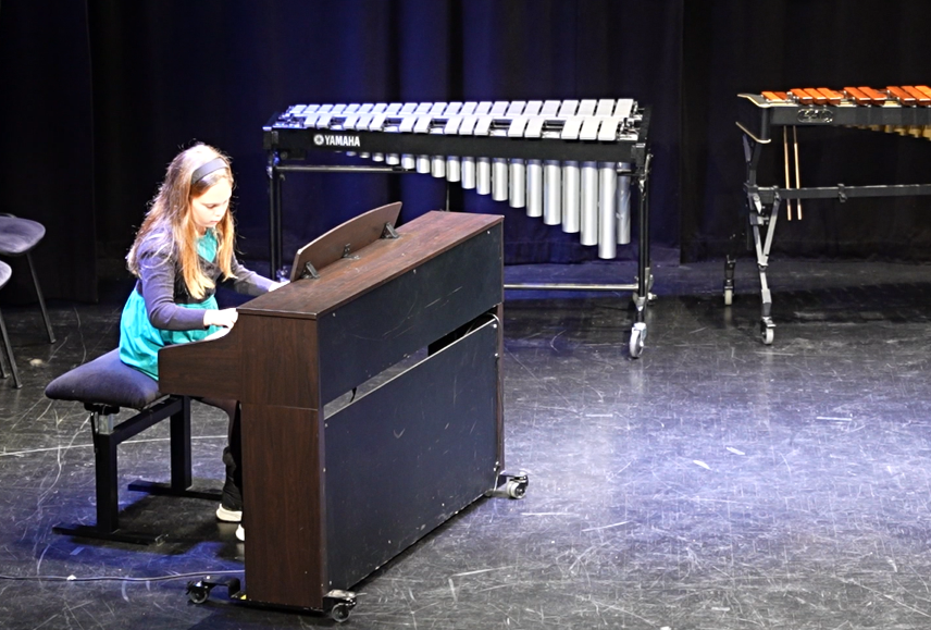 Decembrski koncert na Mirni