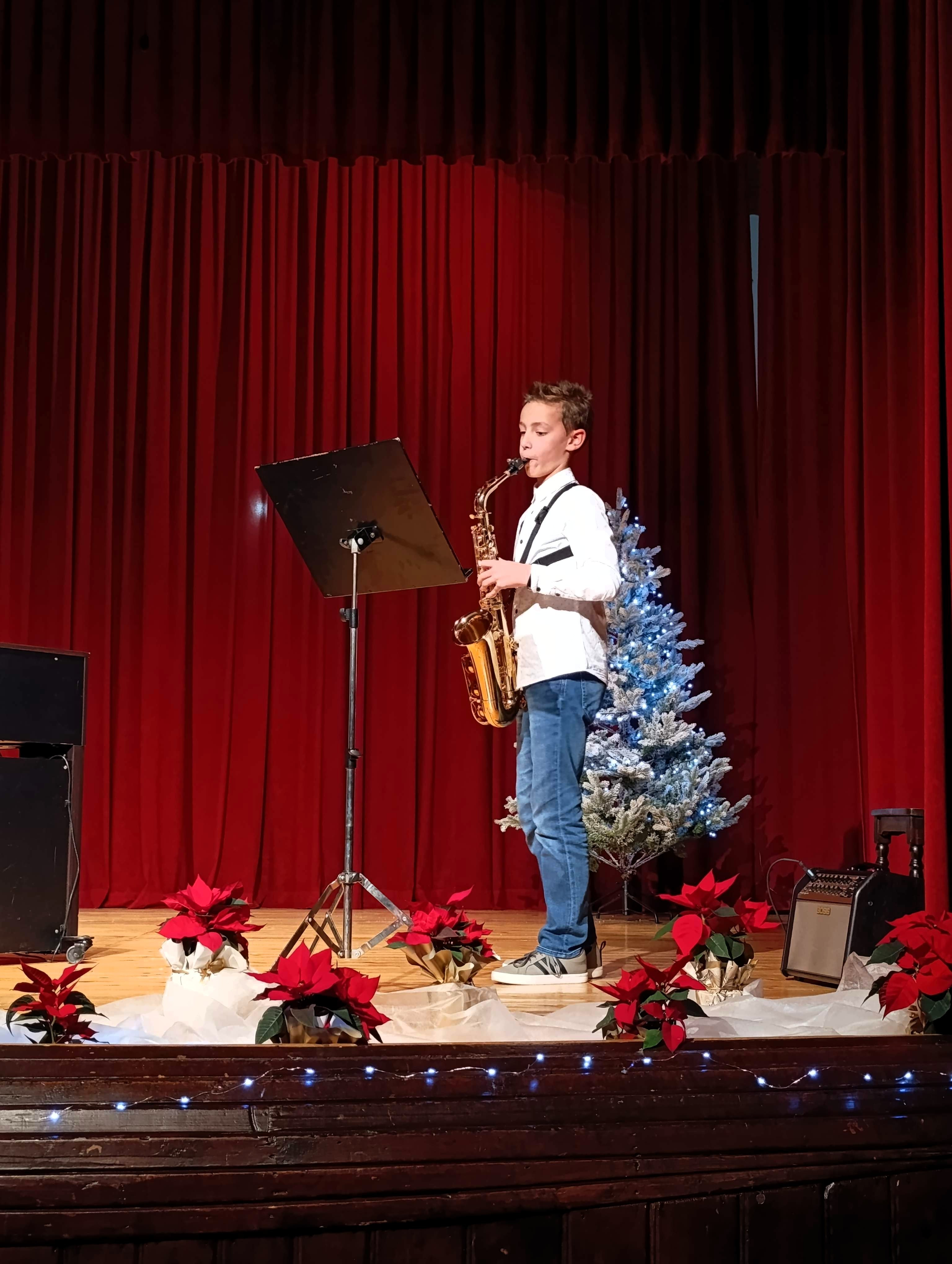 Decembrski koncert v Dobrniču