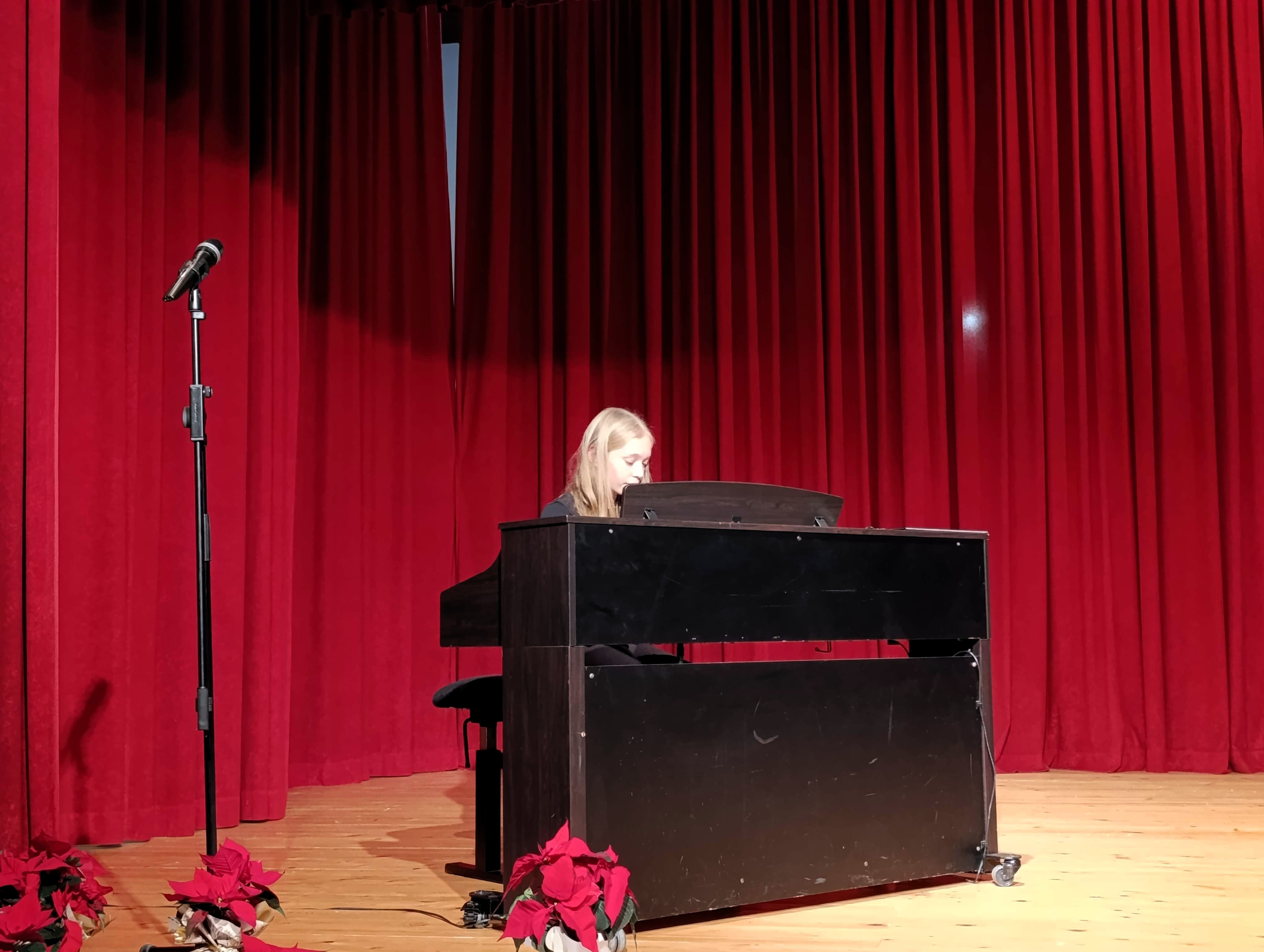 Decembrski koncert v Dobrniču