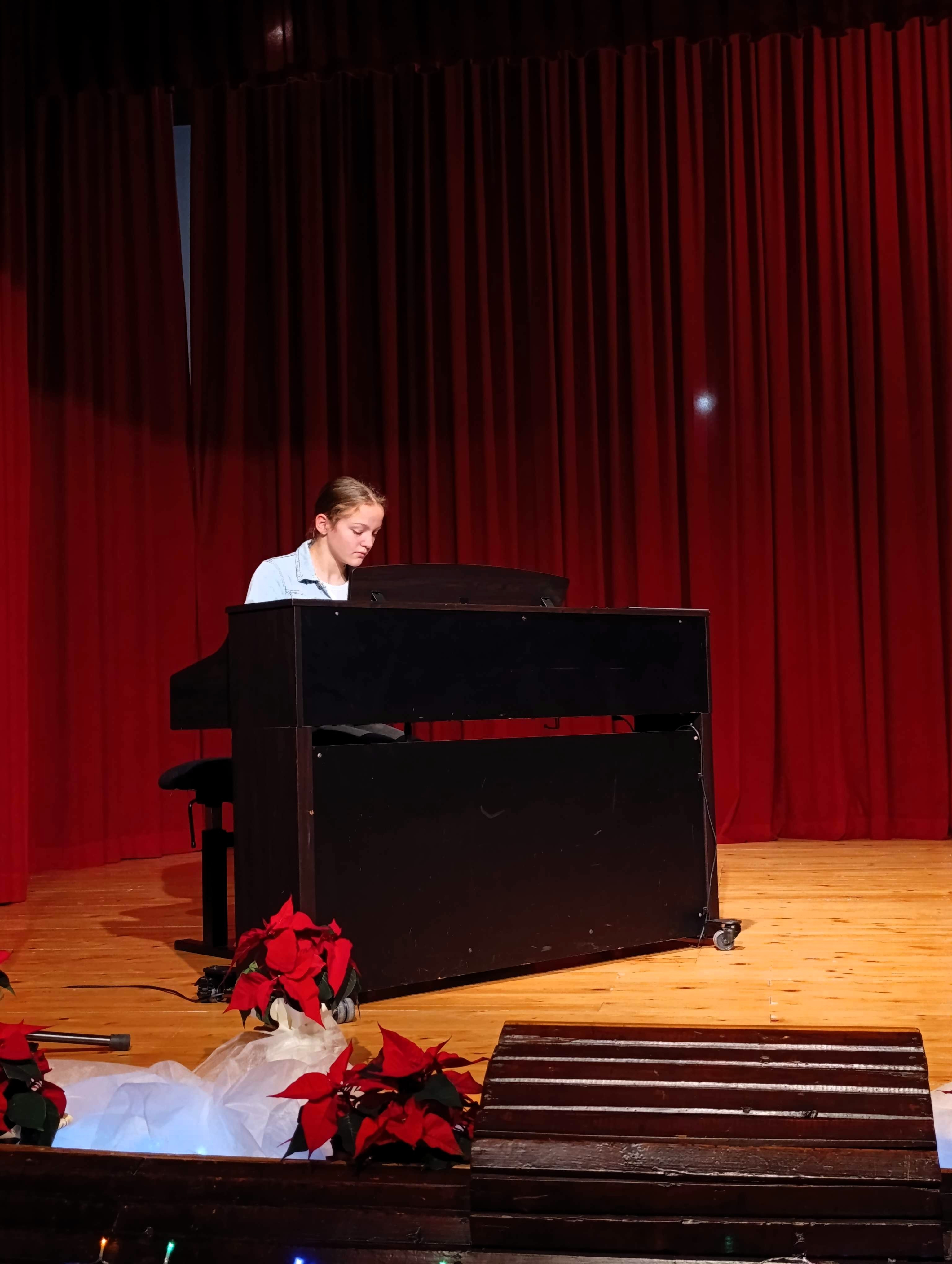 Decembrski koncert v Dobrniču