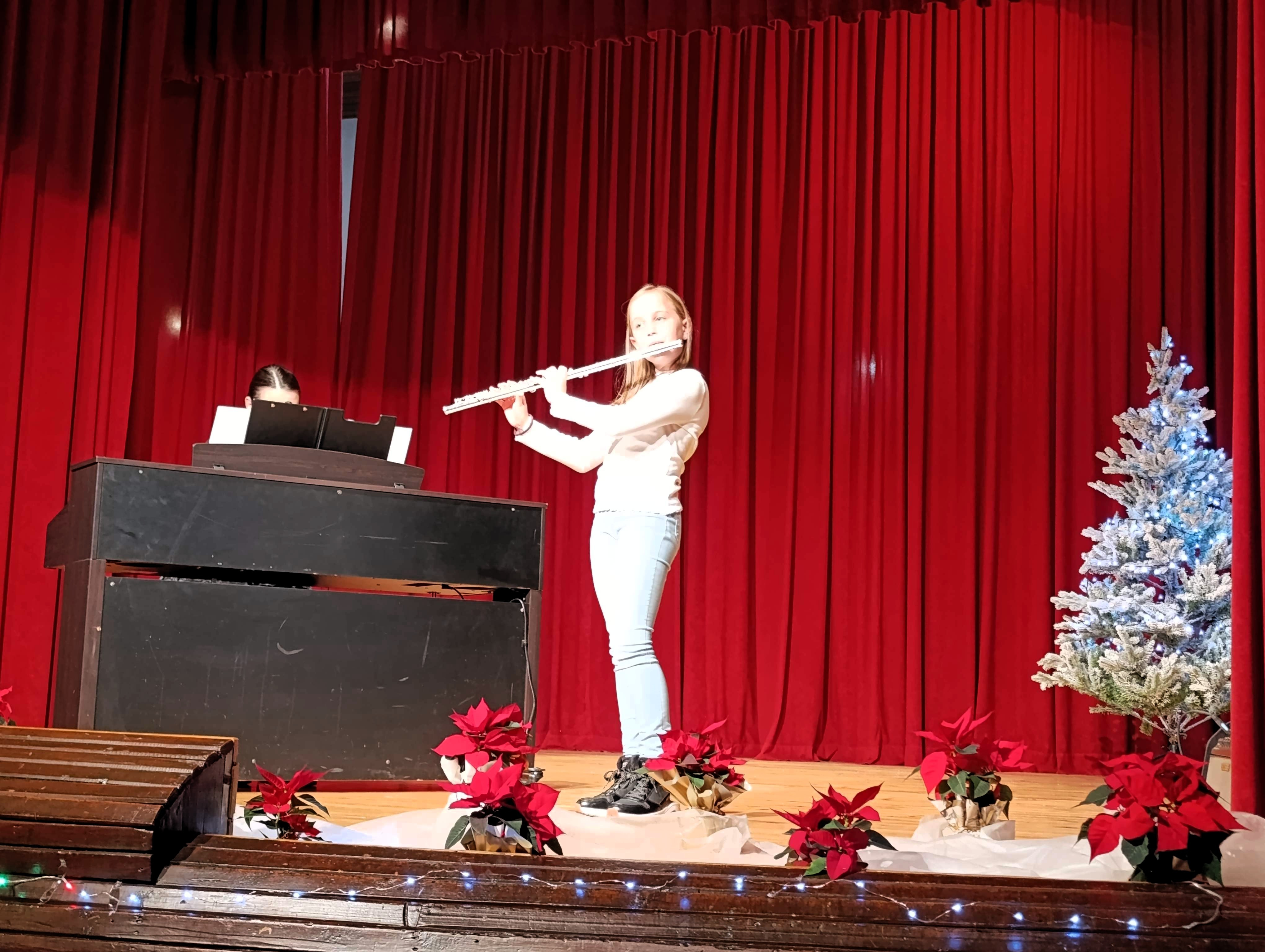 Decembrski koncert v Dobrniču