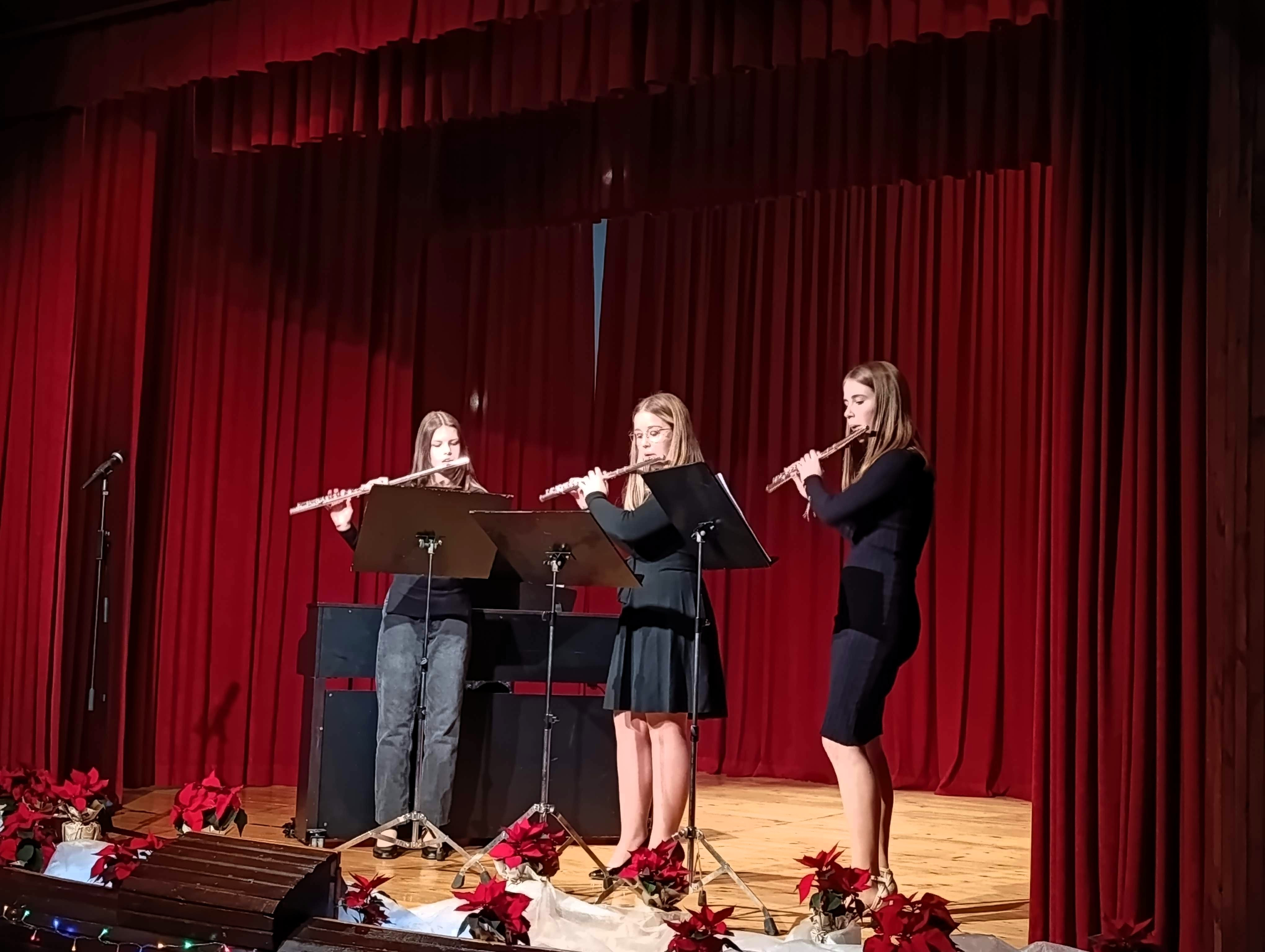 Decembrski koncert v Dobrniču