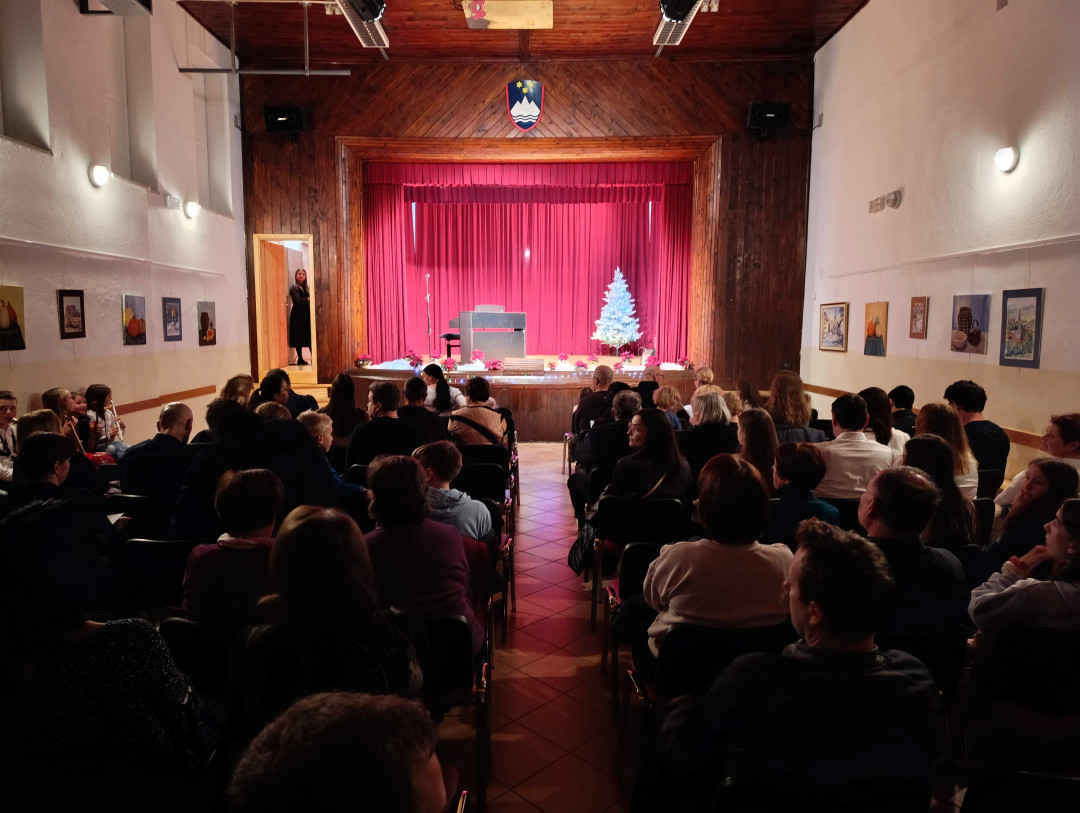 Decembrski koncert v Dobrniču