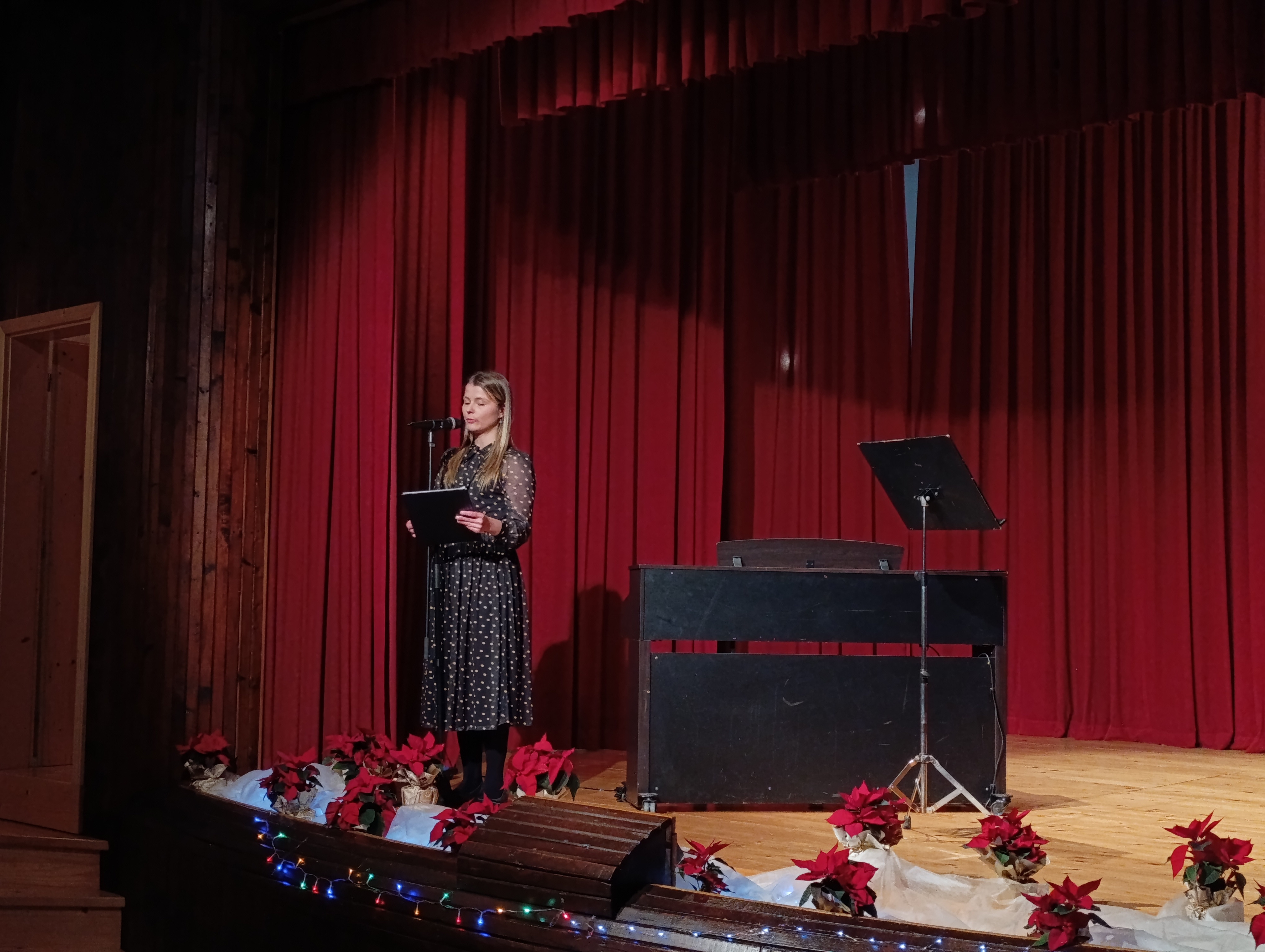 Decembrski koncert v Dobrniču