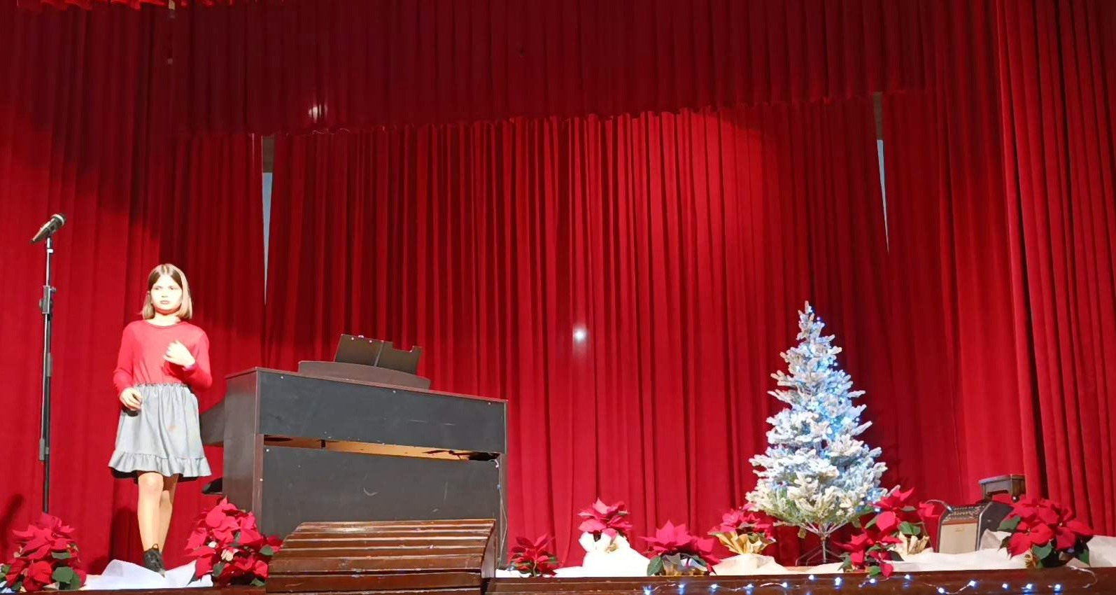 Decembrski koncert v Dobrniču