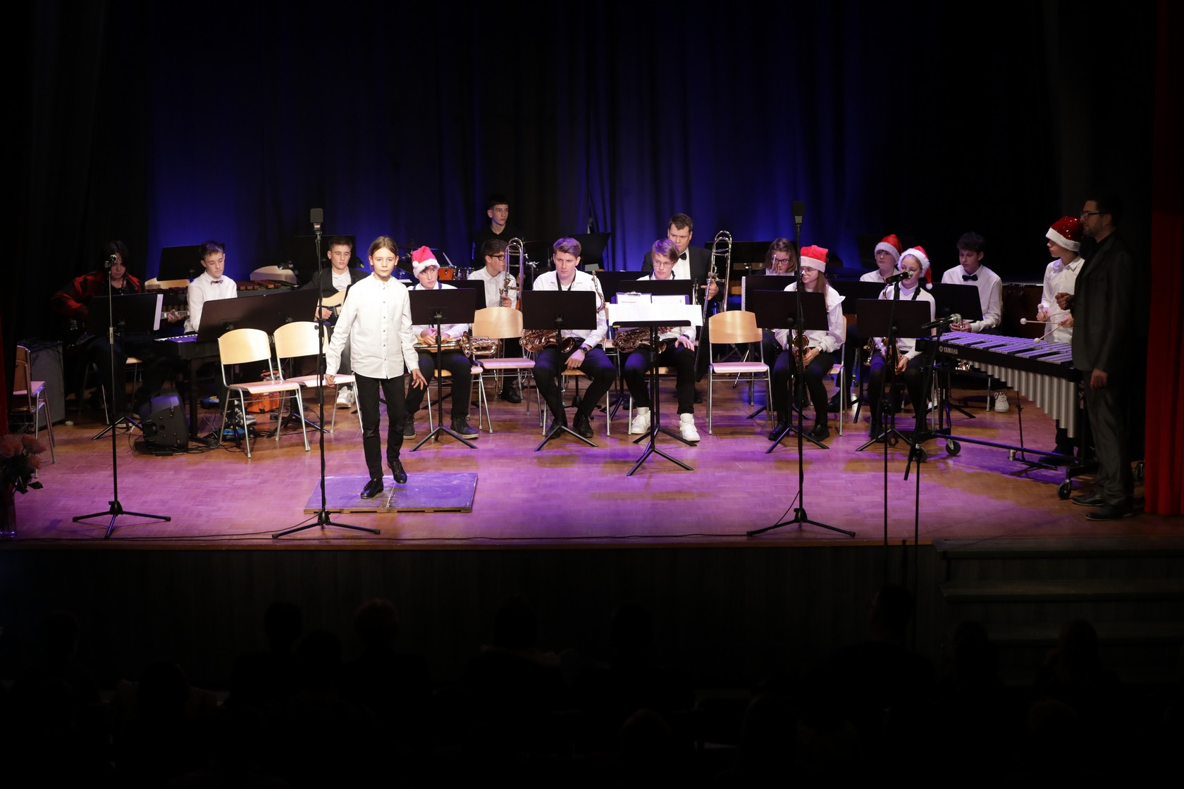 Koncert orkestrov in komornih skupin