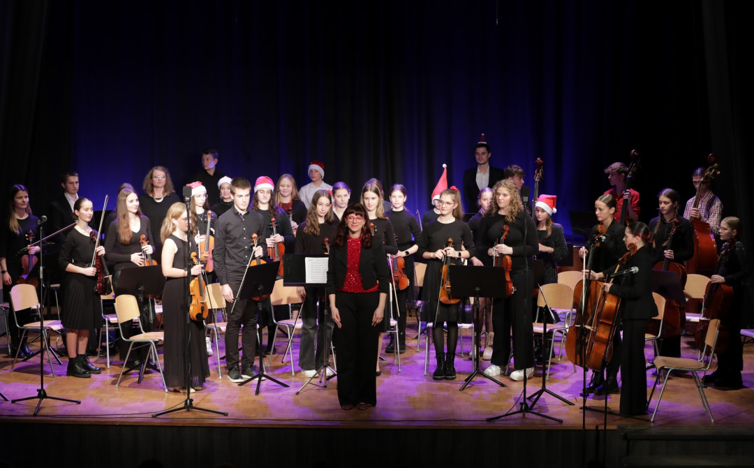 Koncert orkestrov in komornih skupin