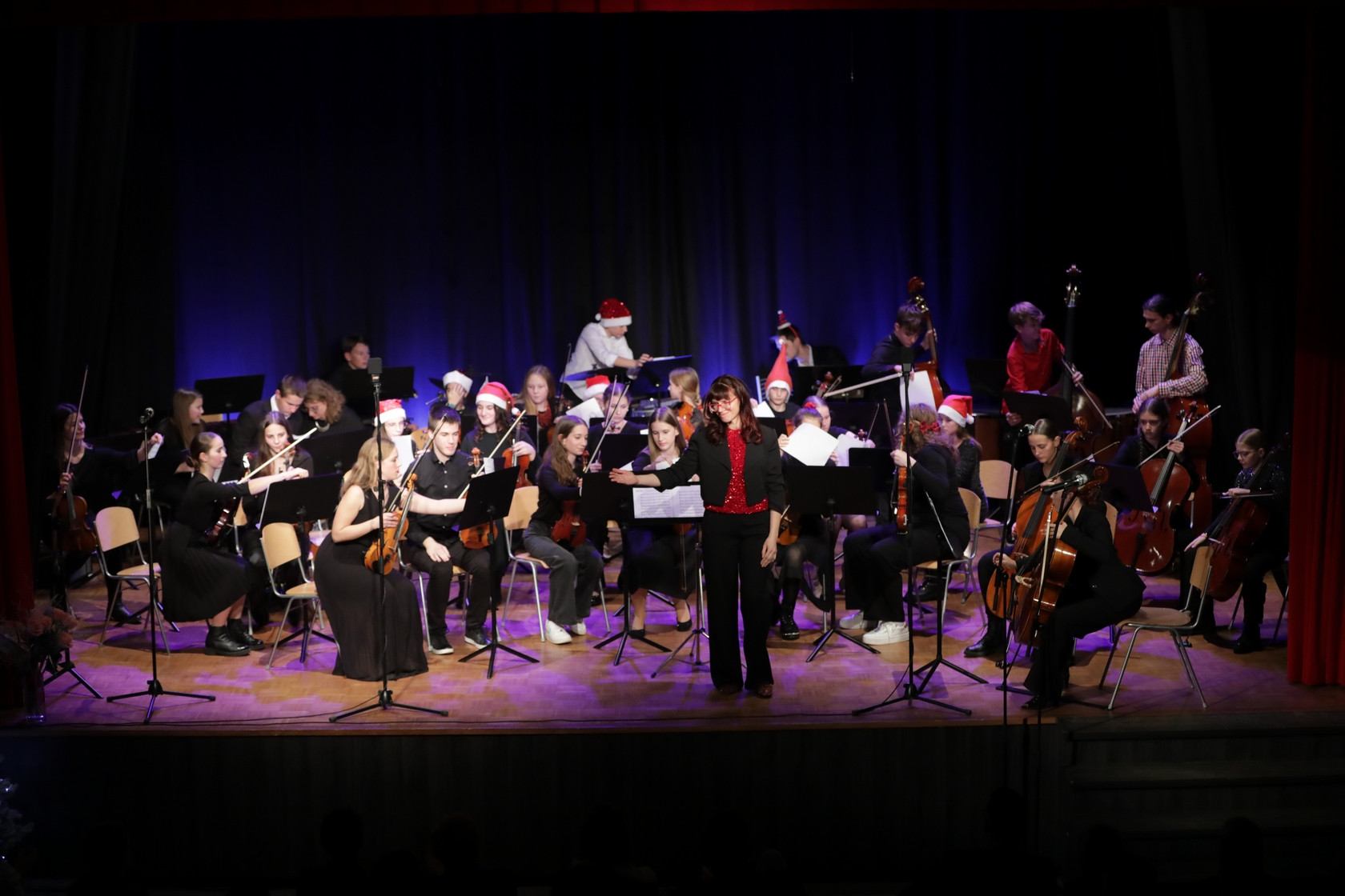 Koncert orkestrov in komornih skupin