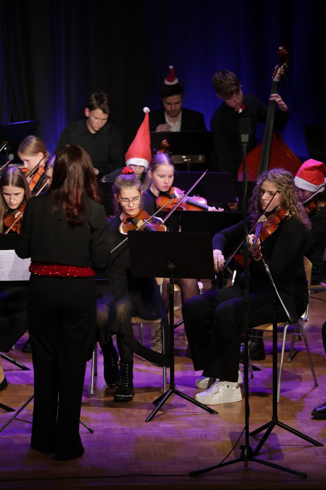 Koncert orkestrov in komornih skupin