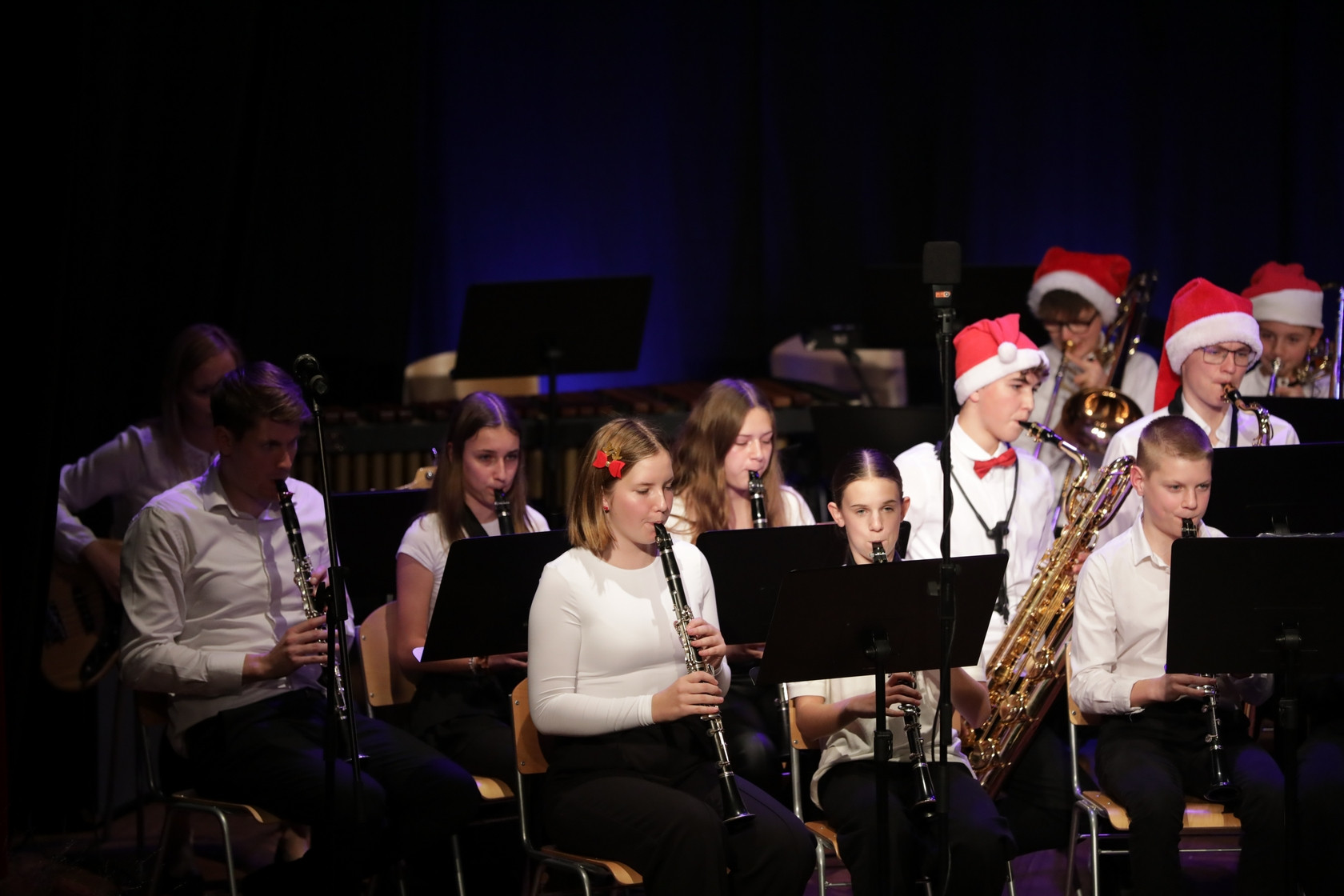 Koncert orkestrov in komornih skupin