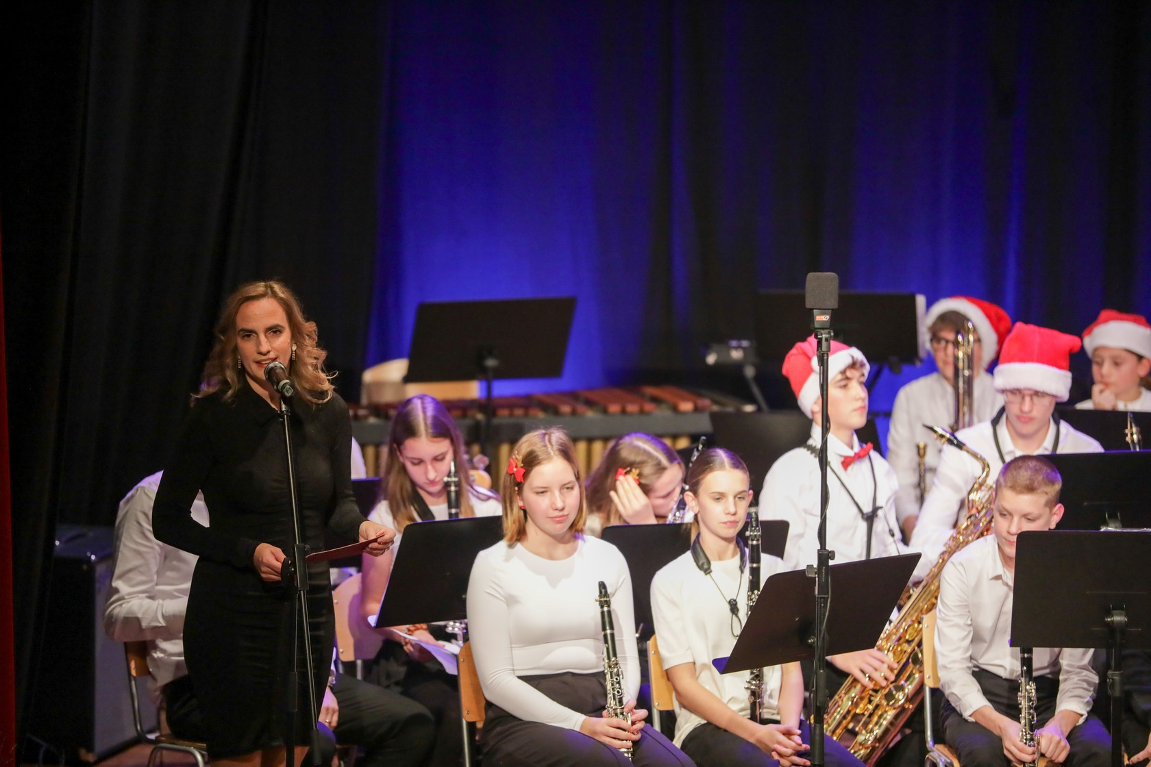 Koncert orkestrov in komornih skupin