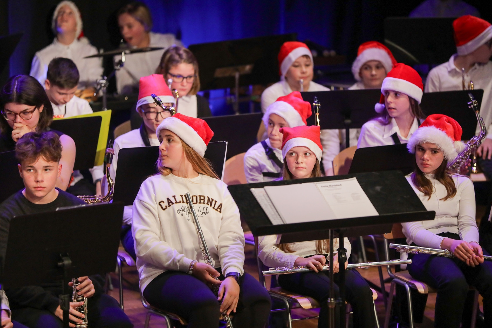 Koncert orkestrov in komornih skupin