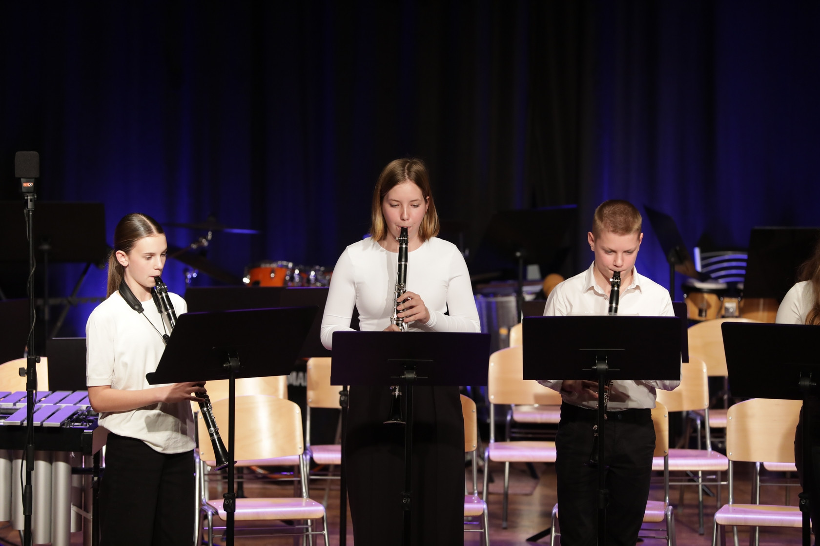 Koncert orkestrov in komornih skupin