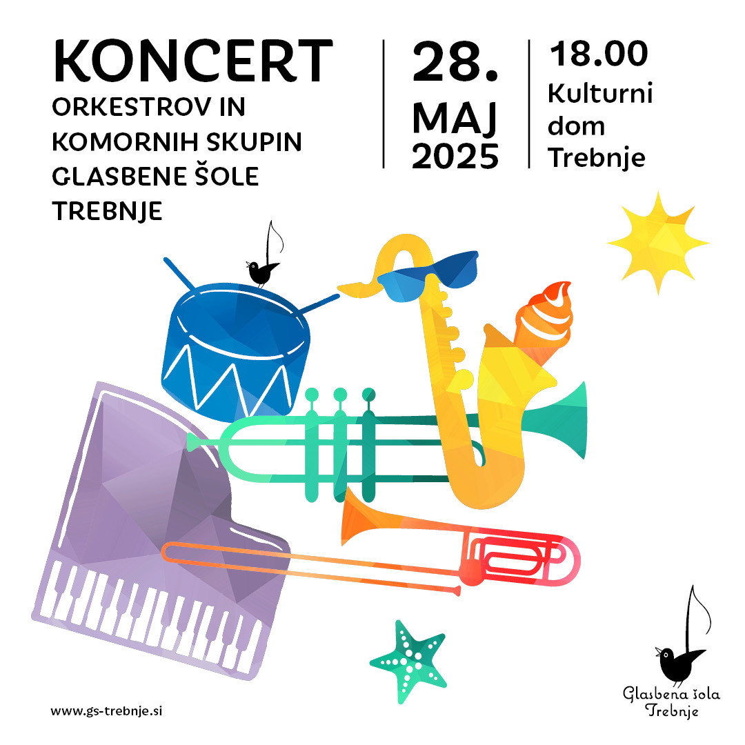 Koncert orkestrov in komornih skupin