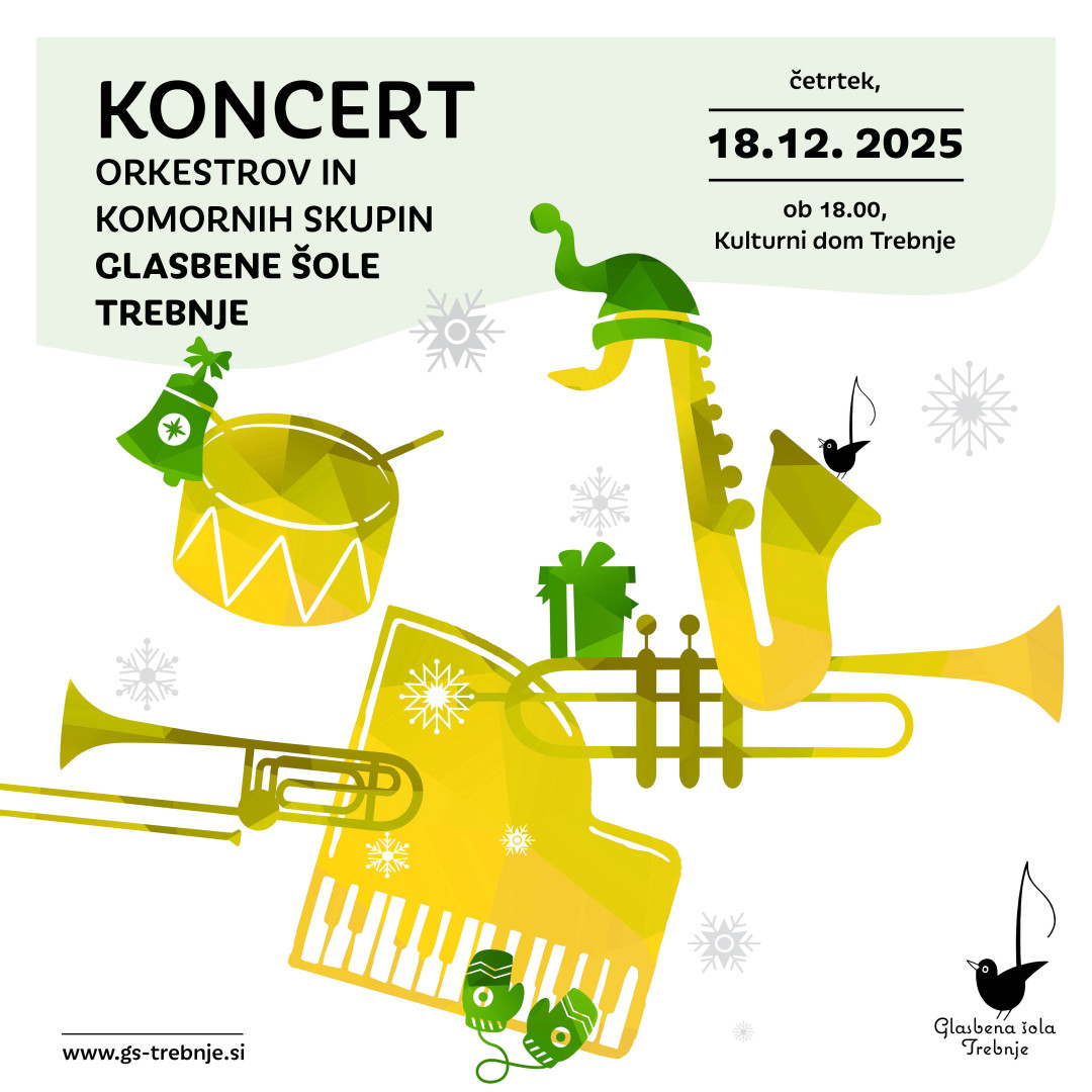Koncert orkestrov in komornih skupin