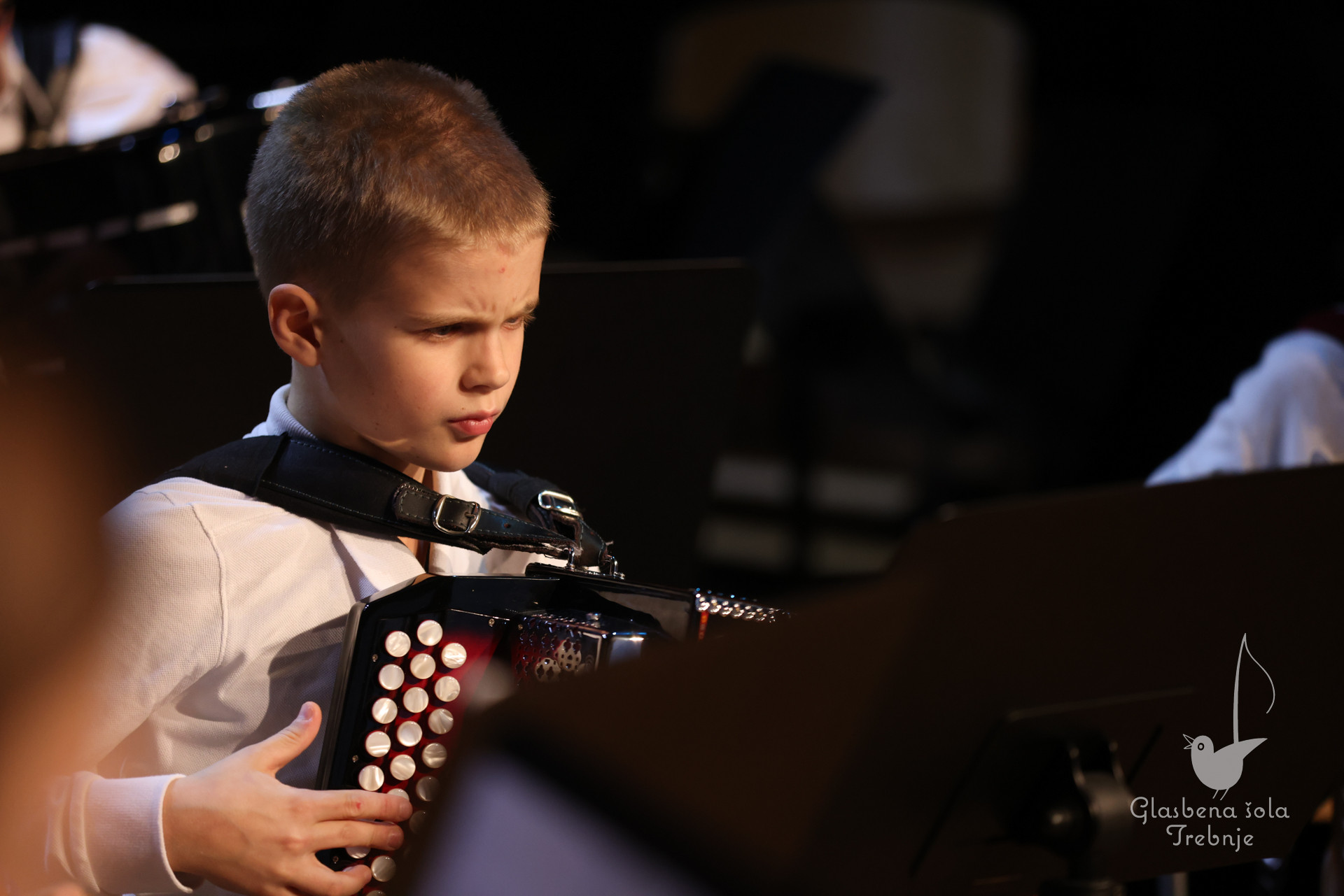 Koncert orkestrov in komornih skupin