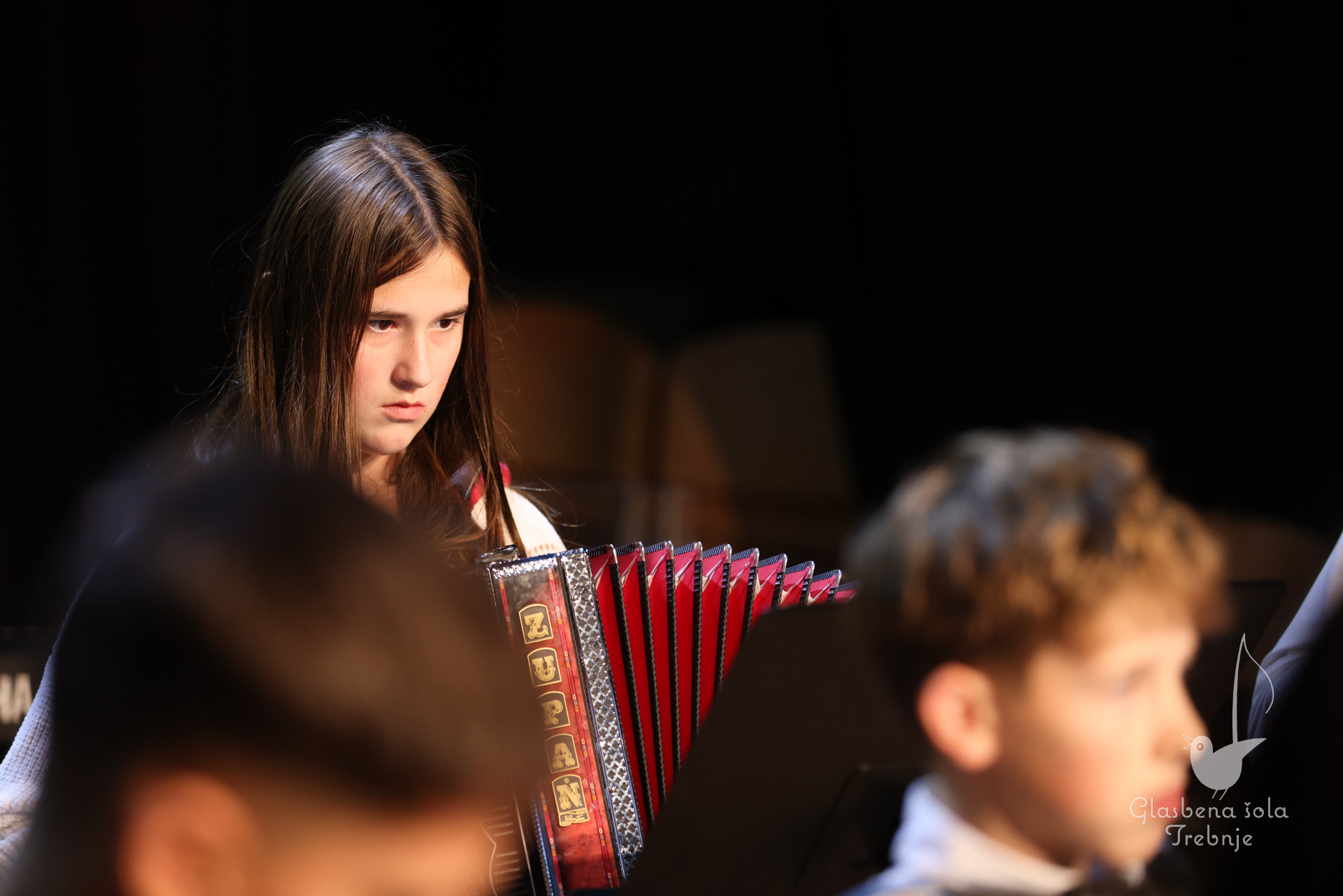 Koncert orkestrov in komornih skupin