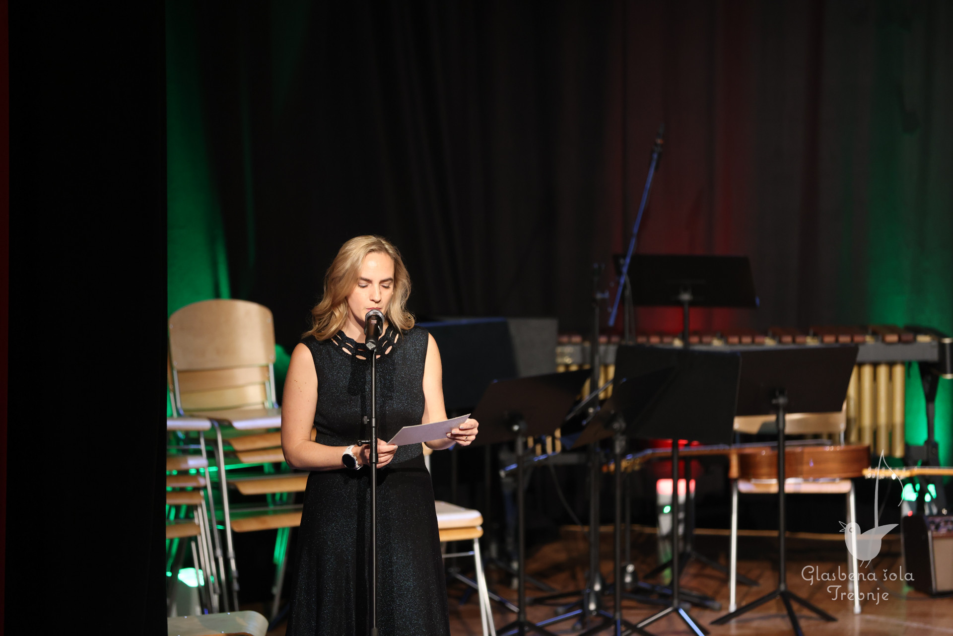 Koncert orkestrov in komornih skupin